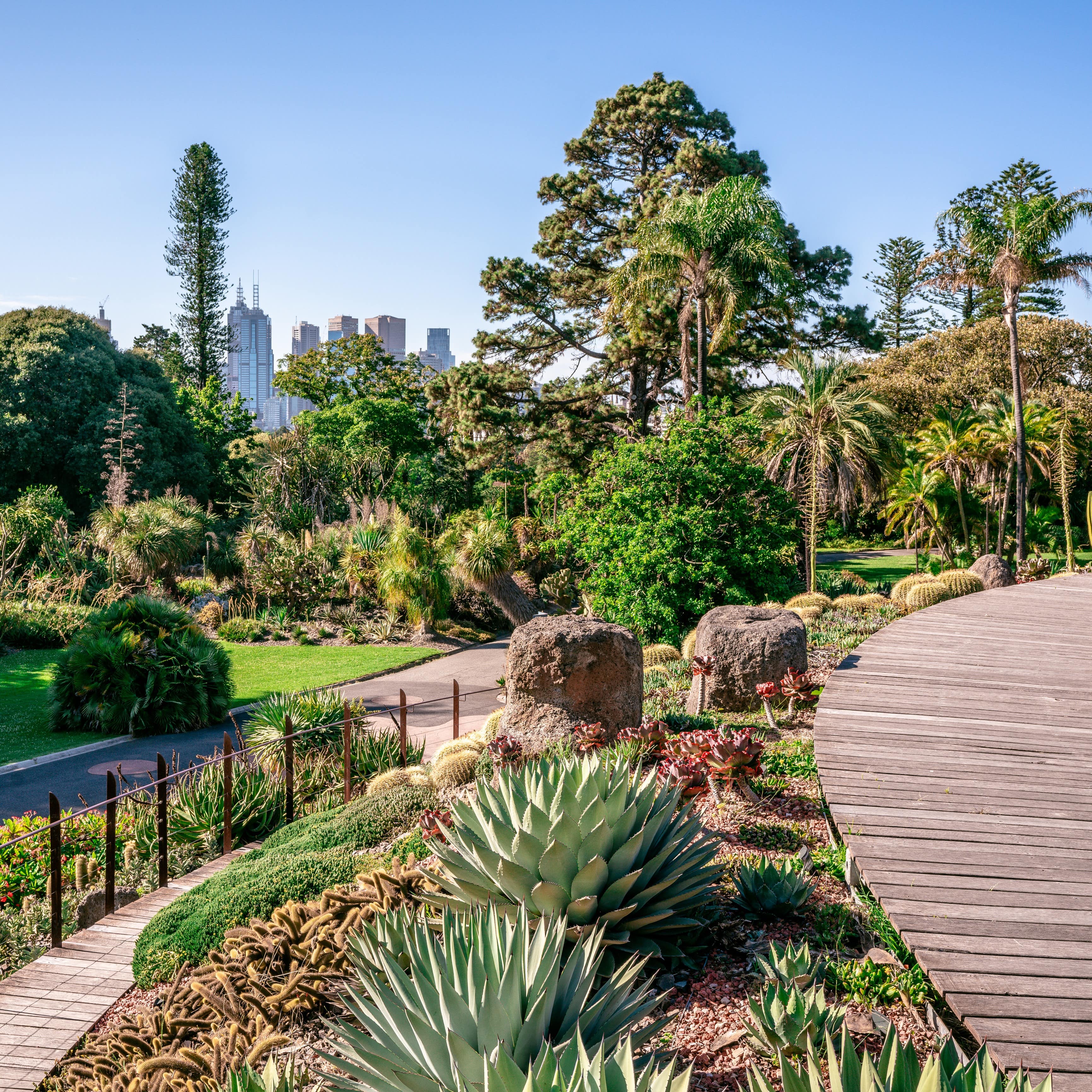 Walkways through the Royal Botanical Garden, Melbourne