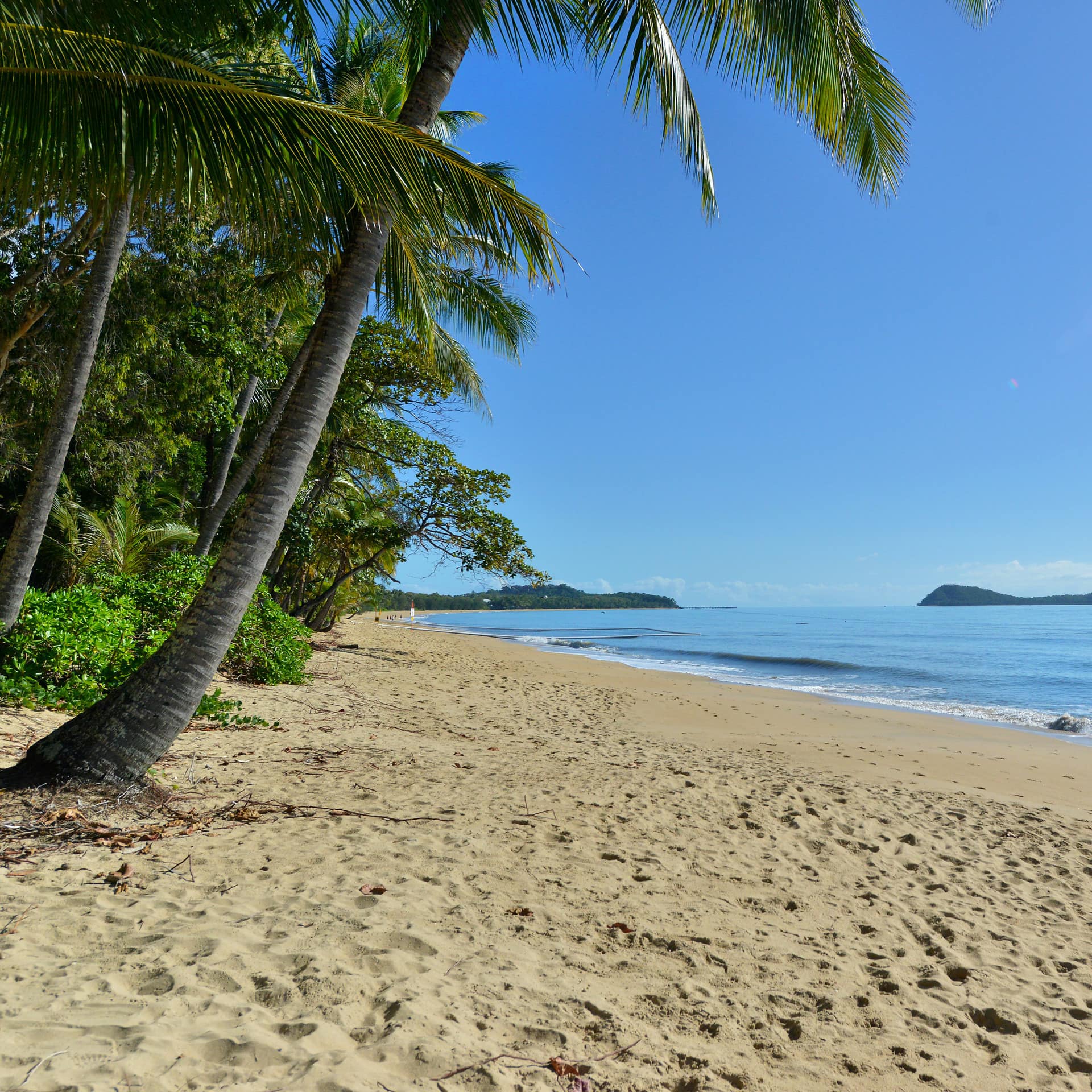 Serene view of a sandy beach with palm trees and a distant mountain range.
