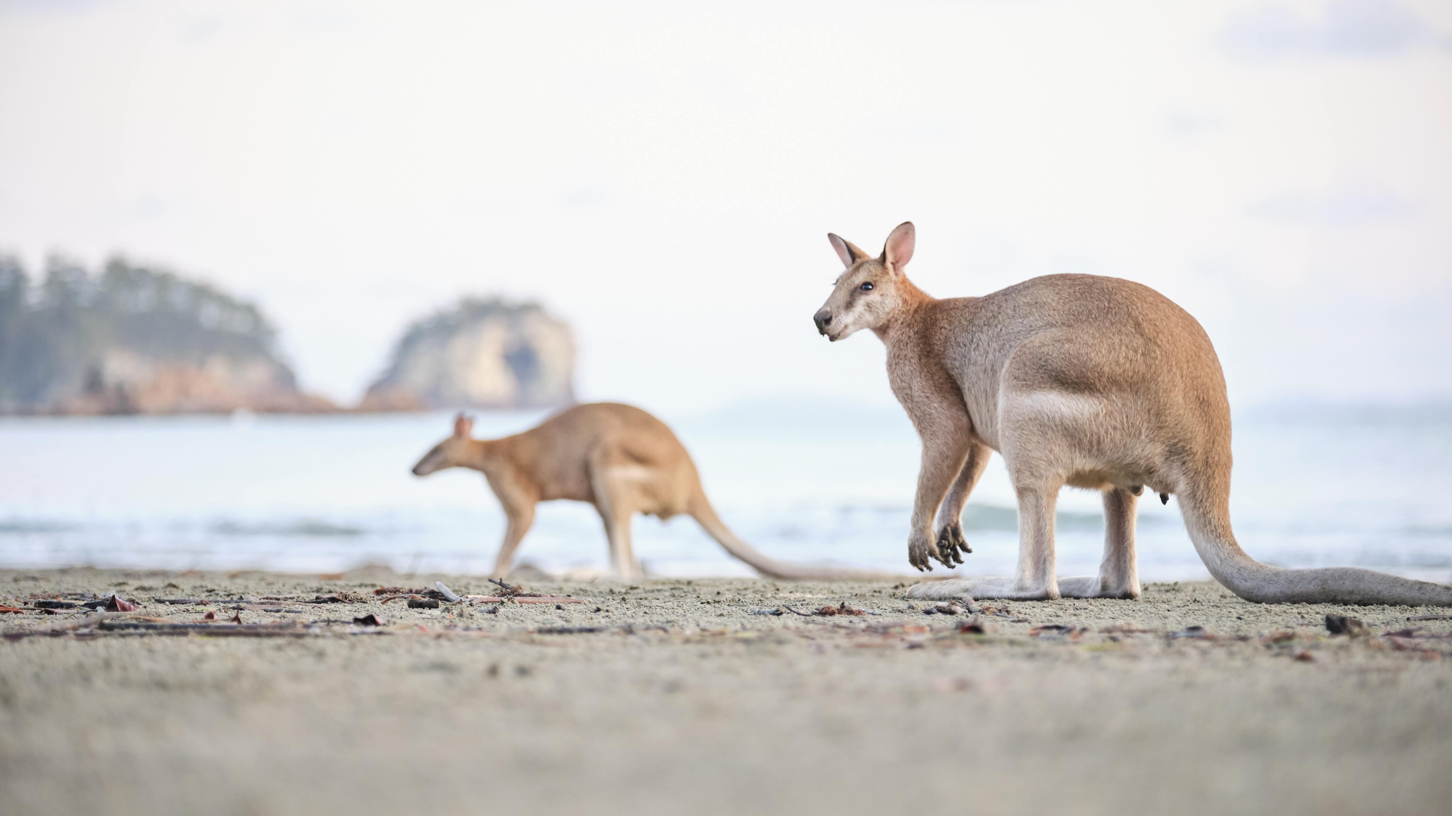 Explore Queensland holidays for families