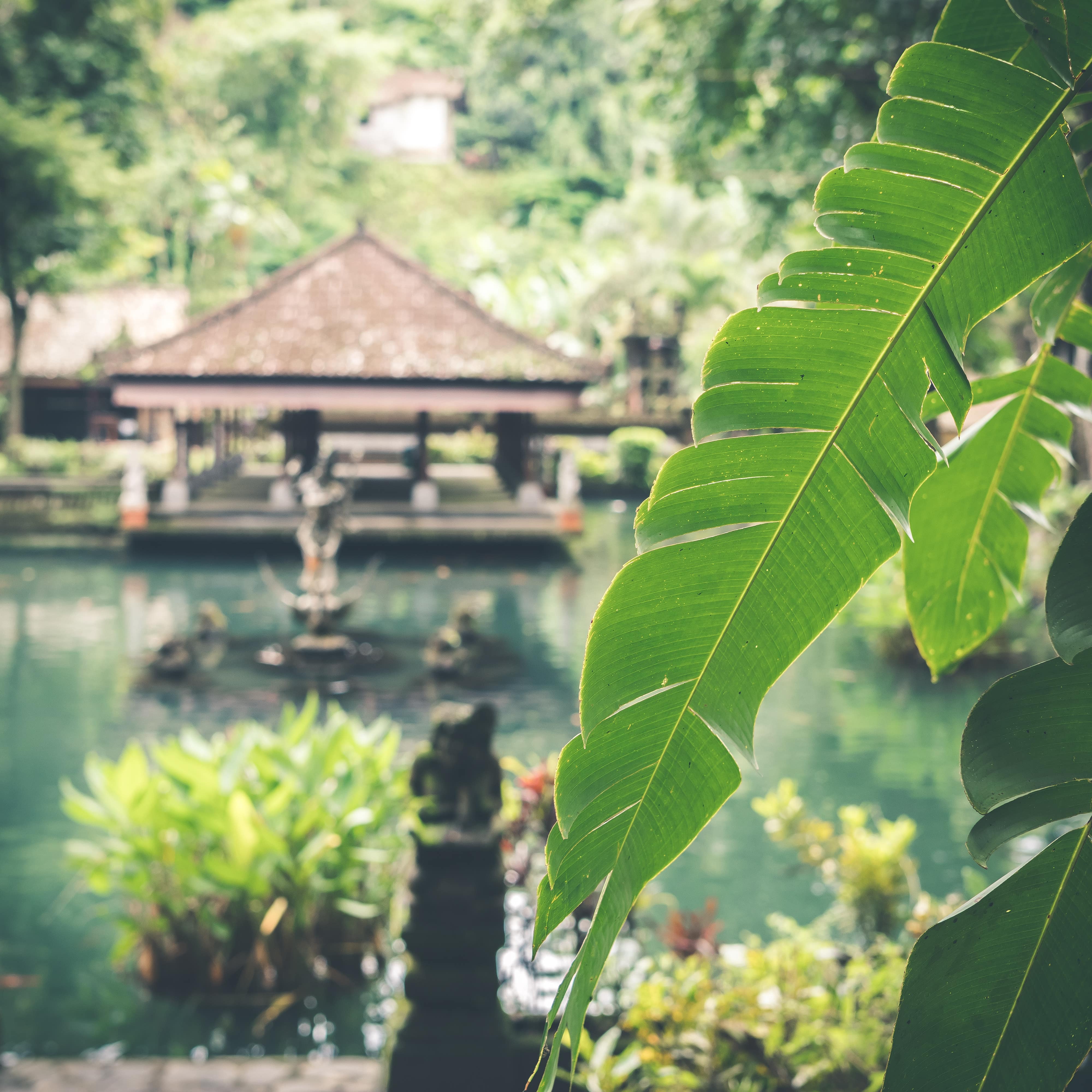 A decorative pond with traditional statues, tropical plants and a pavilion