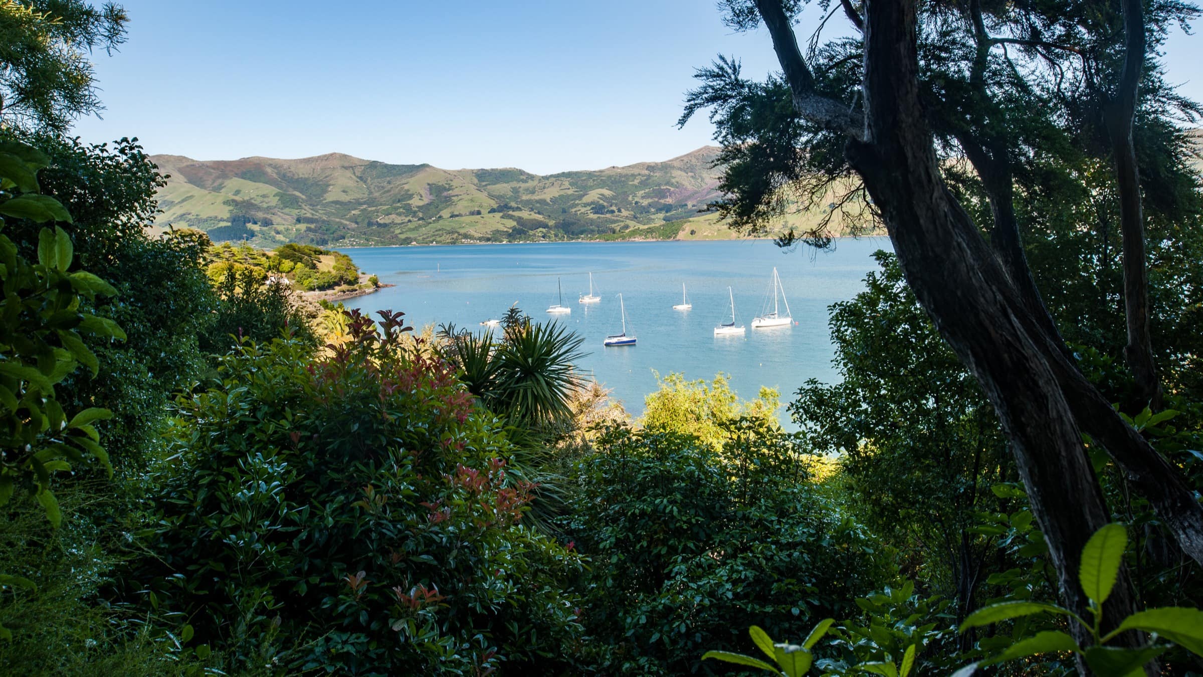 Stay in Christchurch accommodation for a relaxing holiday