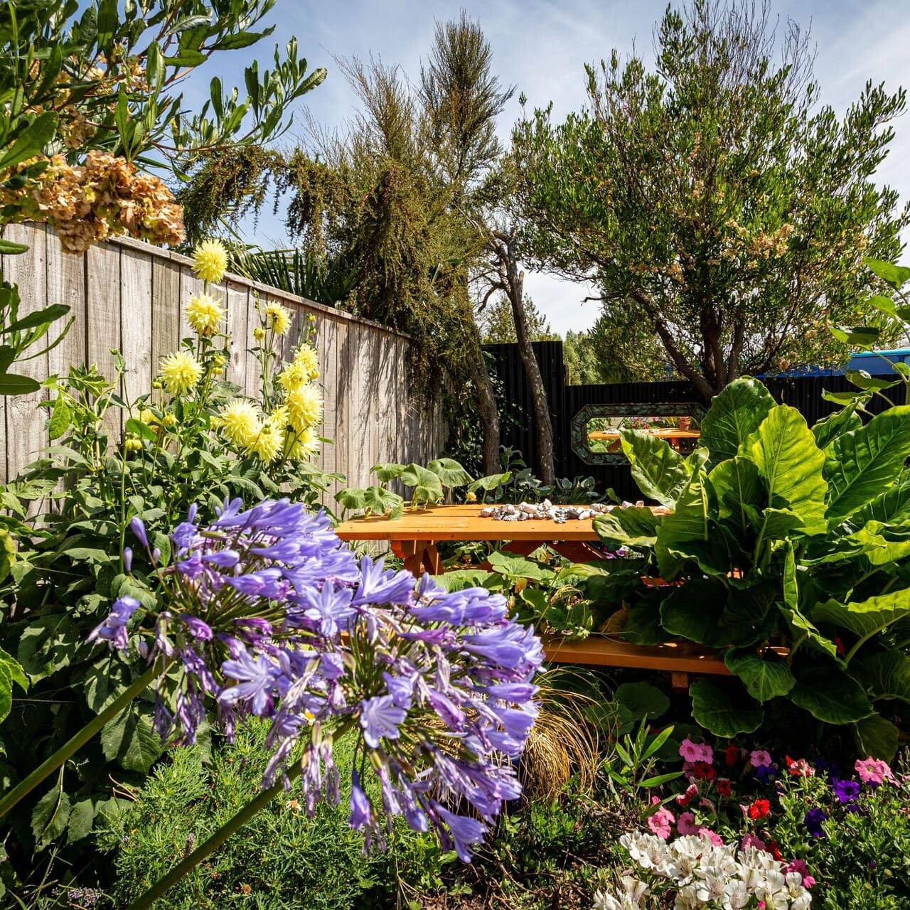 A backyard garden of a beach house in Nelson with a colourful arrangement of flowers and plants