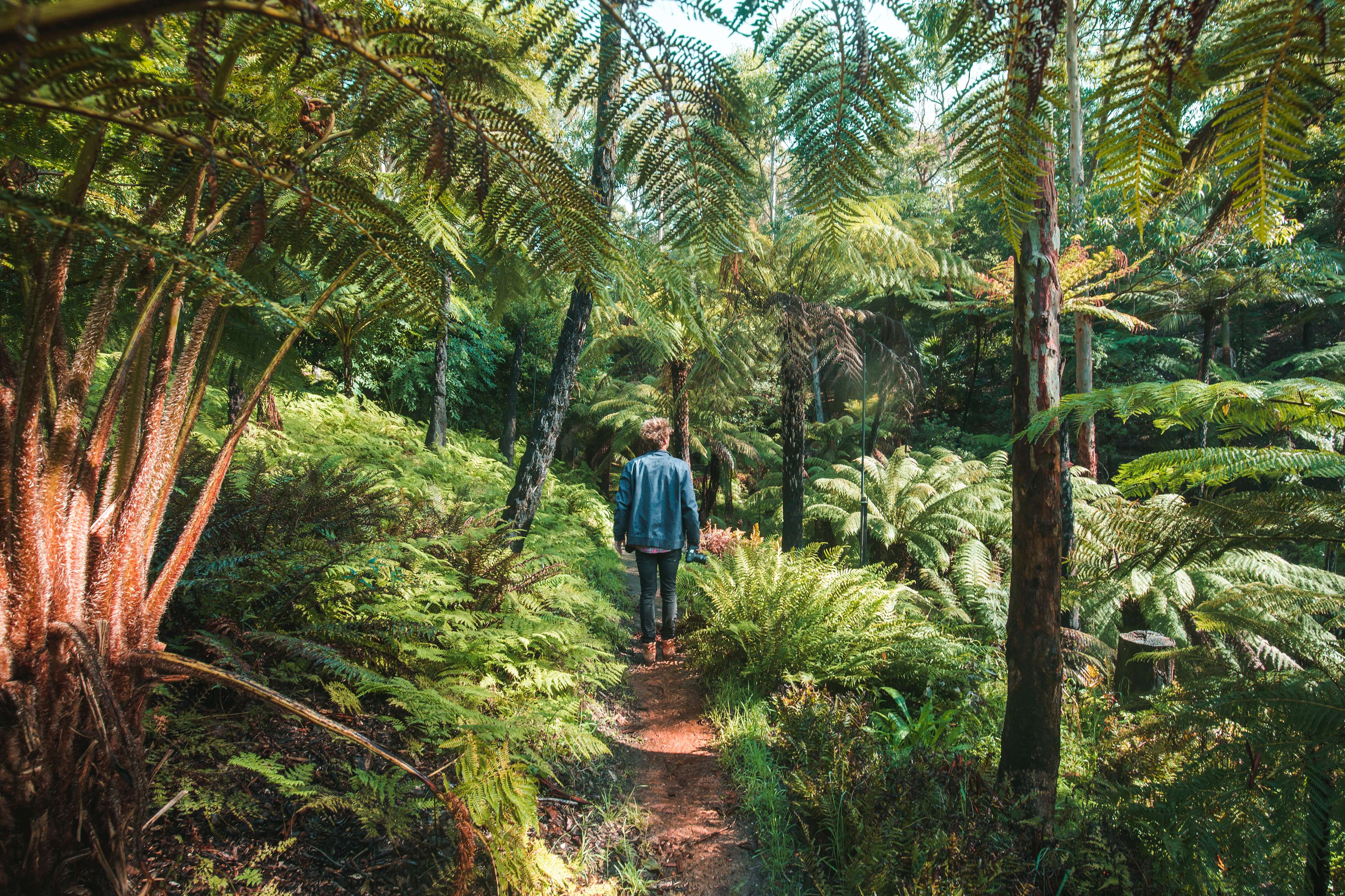 Mount Lofty Botanic Gardens