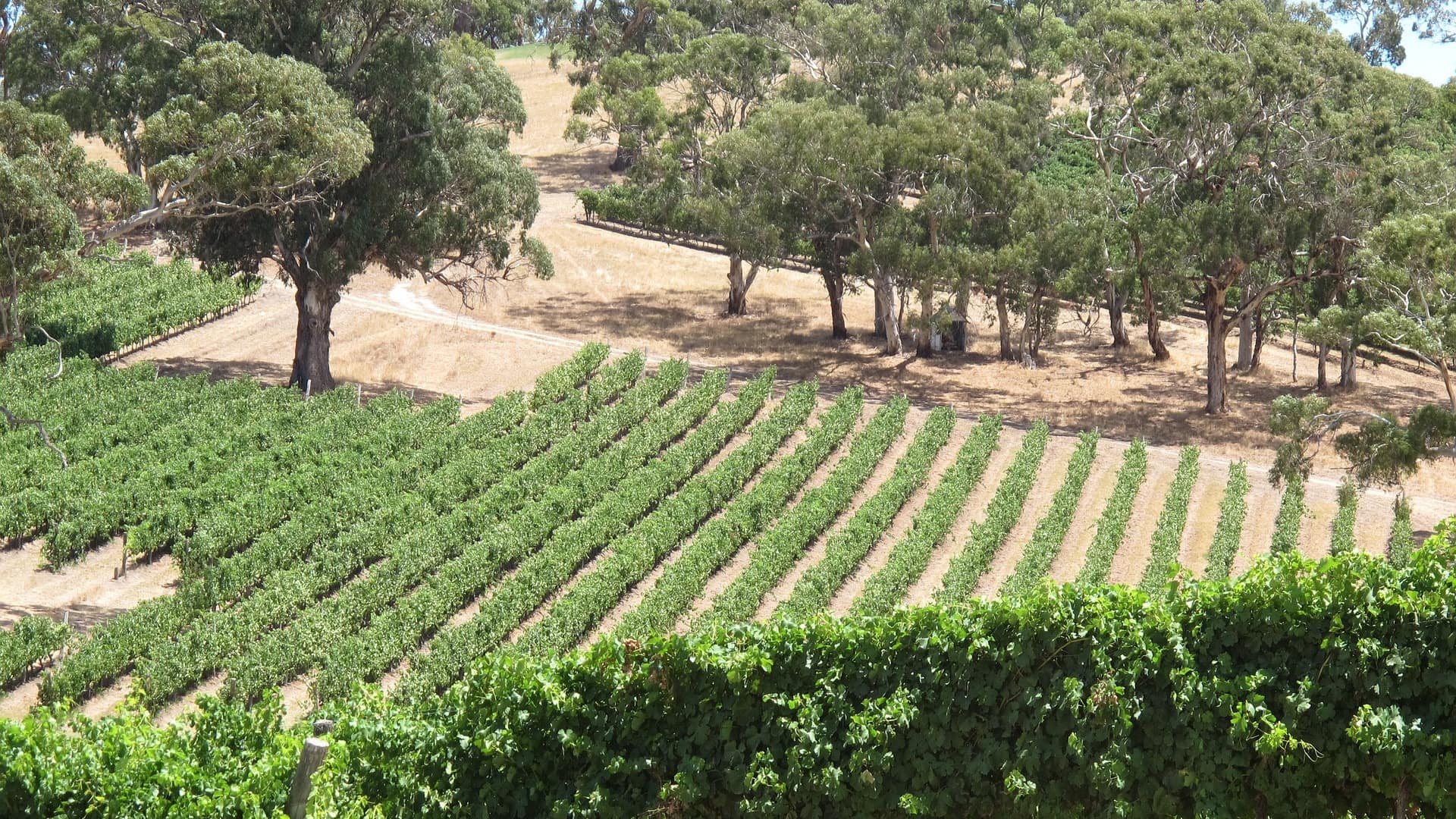 Explore the vast countryside with quality Adelaide Hills accommodation