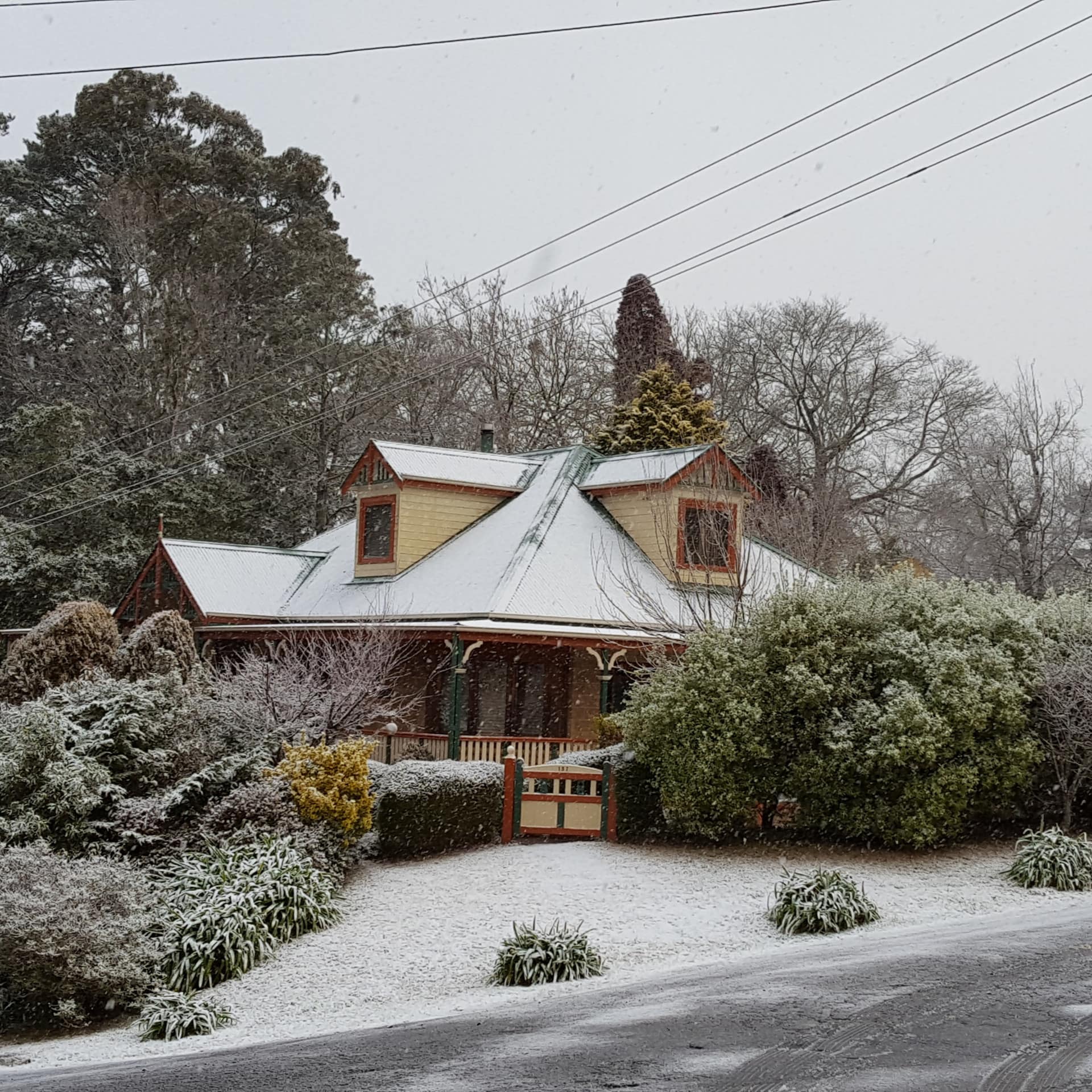 Street view of home with gabled roof, surrounded by dense trees and bushes, all covered in a light layer of snow.