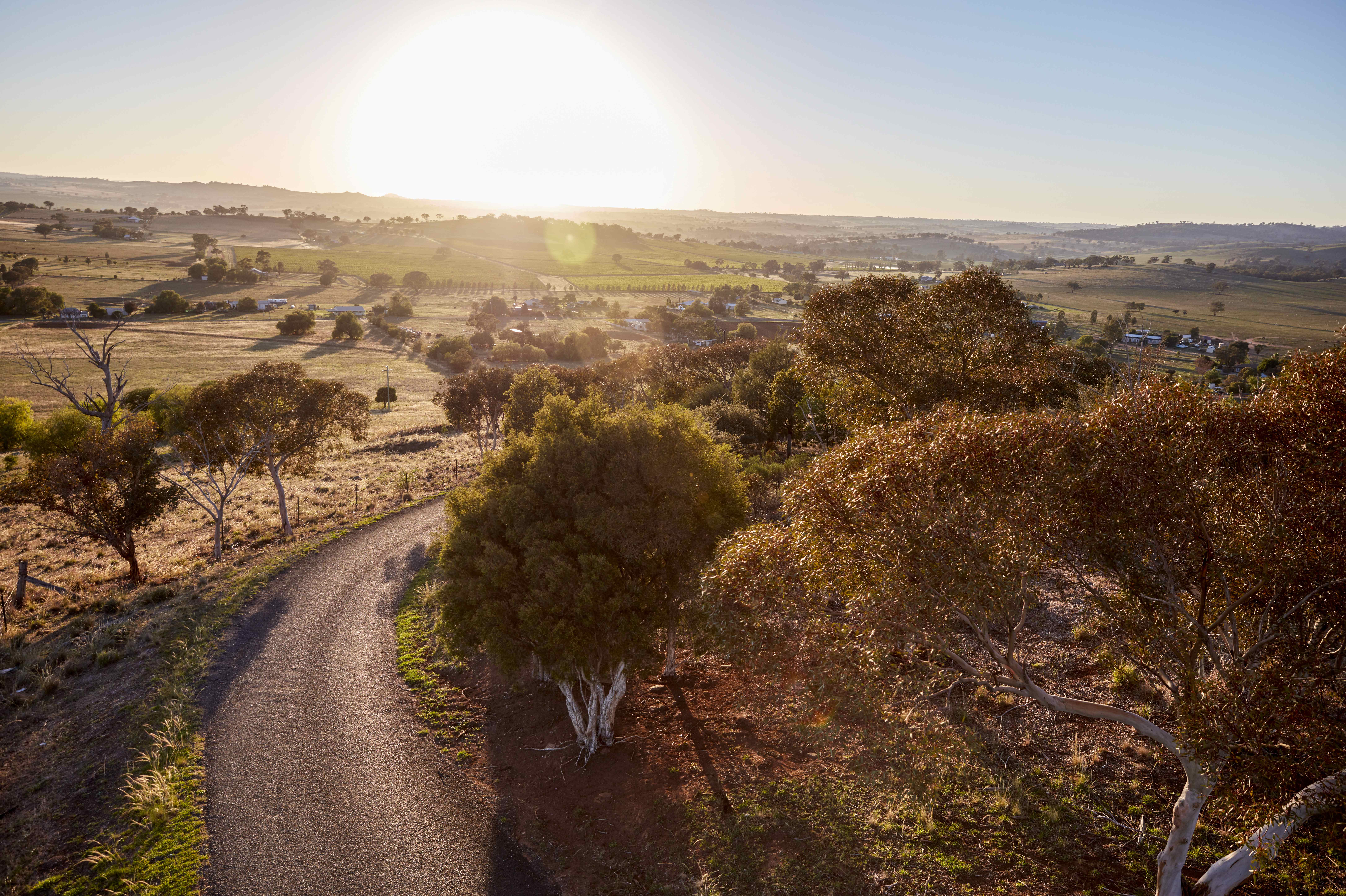 Scenery of Canowindra, just outside orange.