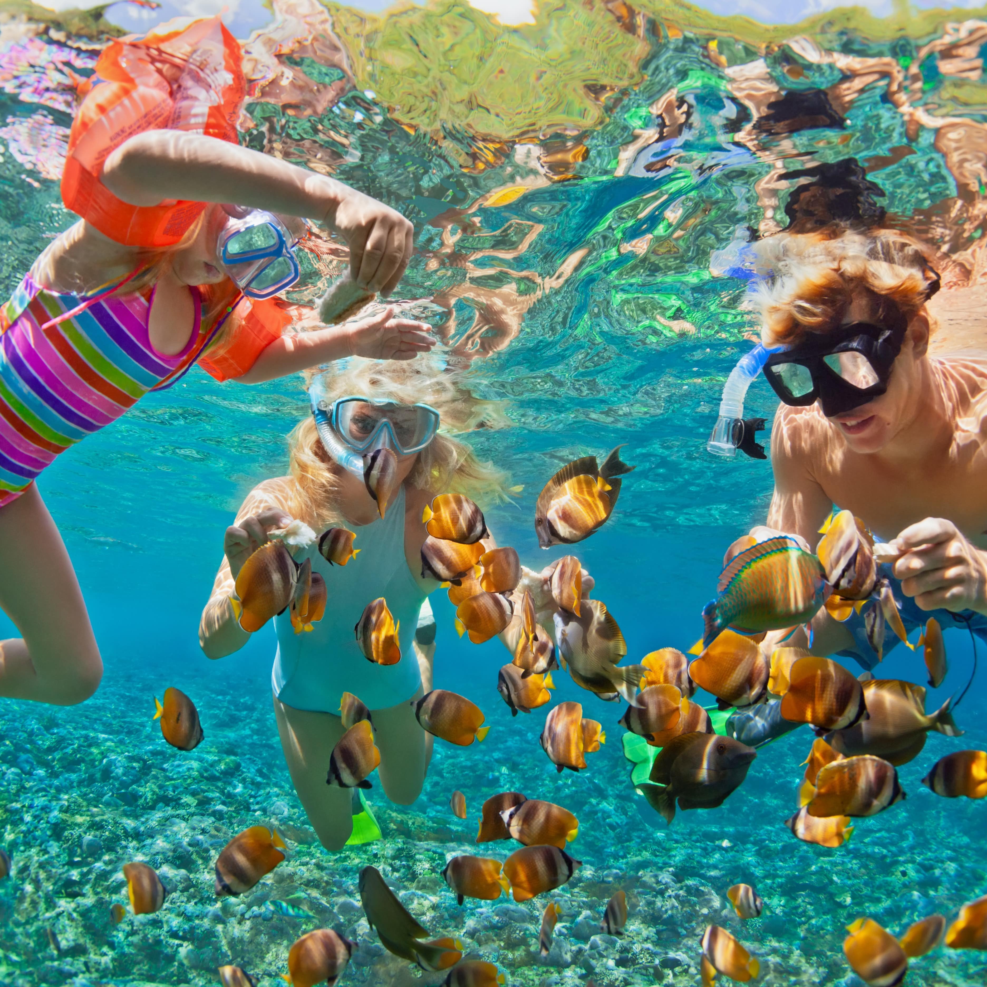 Family snorkelling with tropical fish