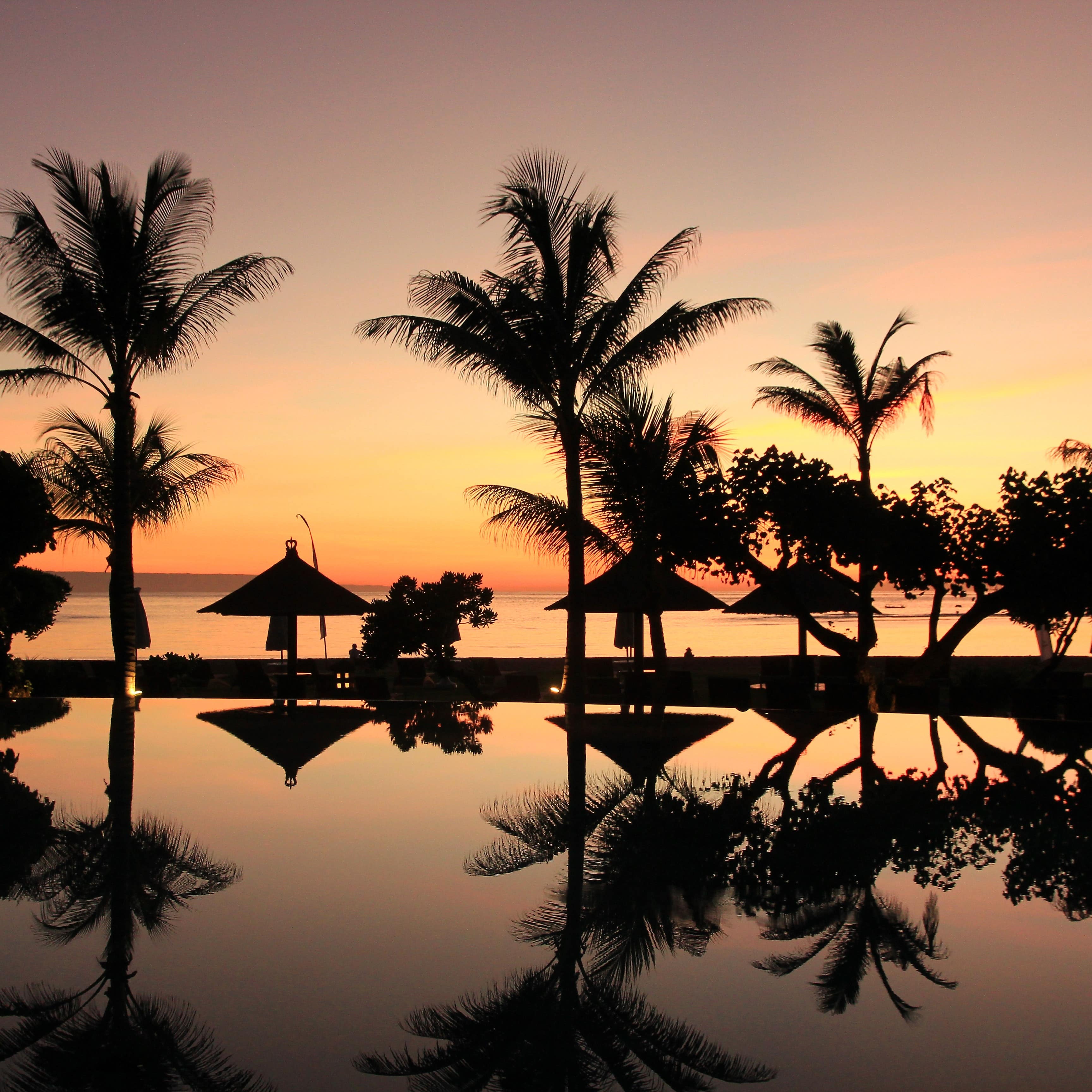 A Balinese sunset with palm trees