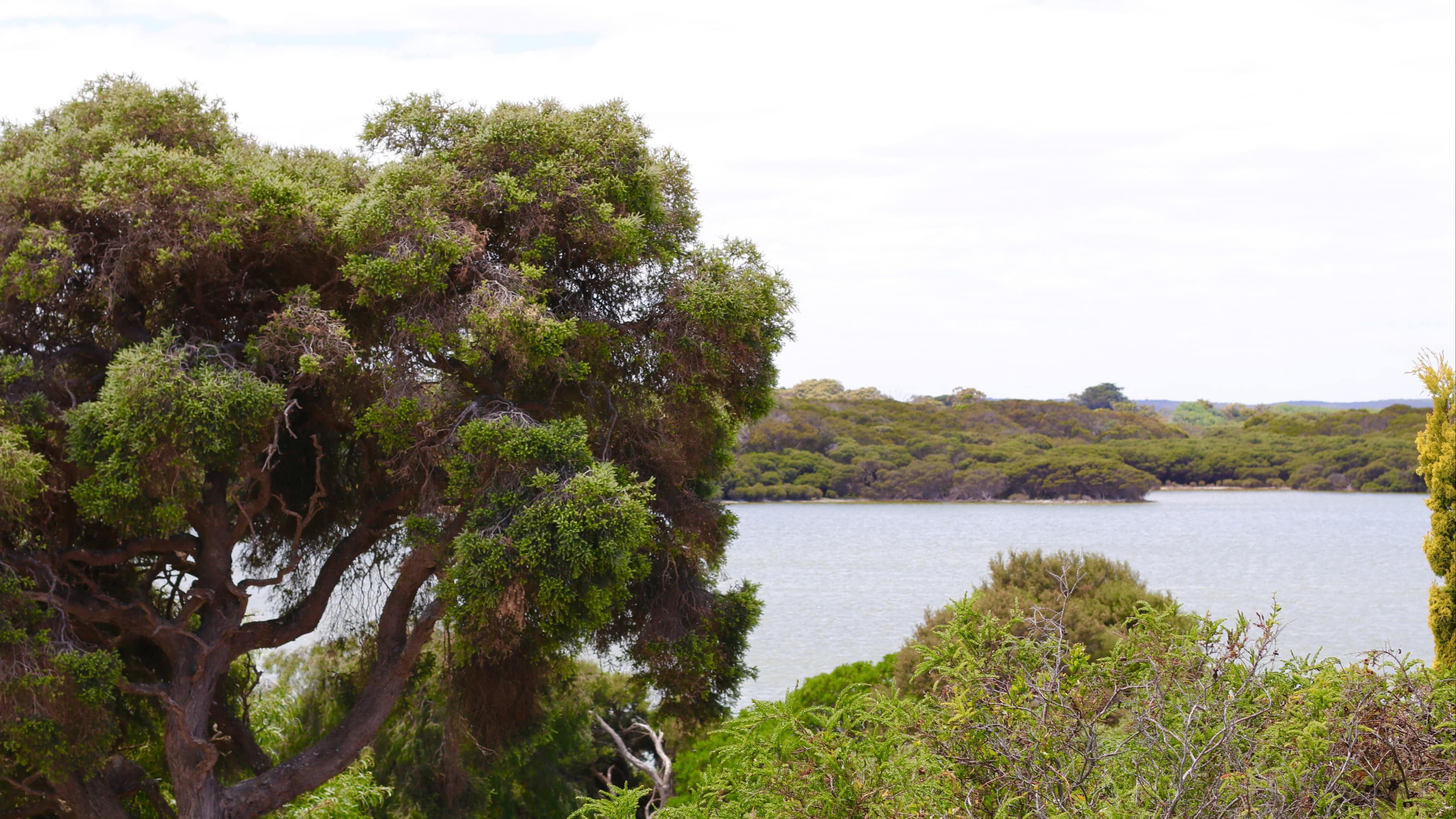 Plan your holiday with Mount Gambier accommodation