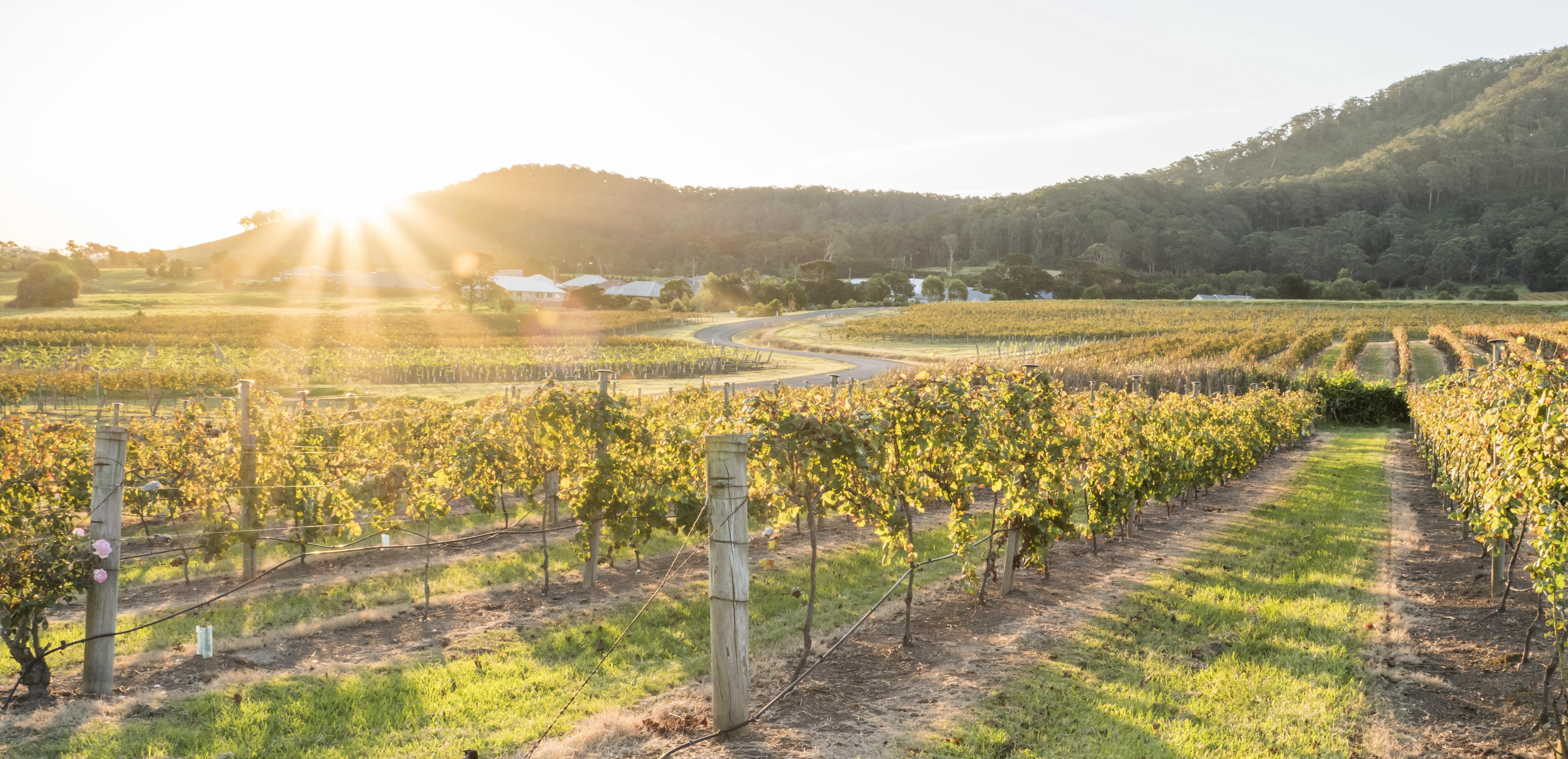 Shoalhaven