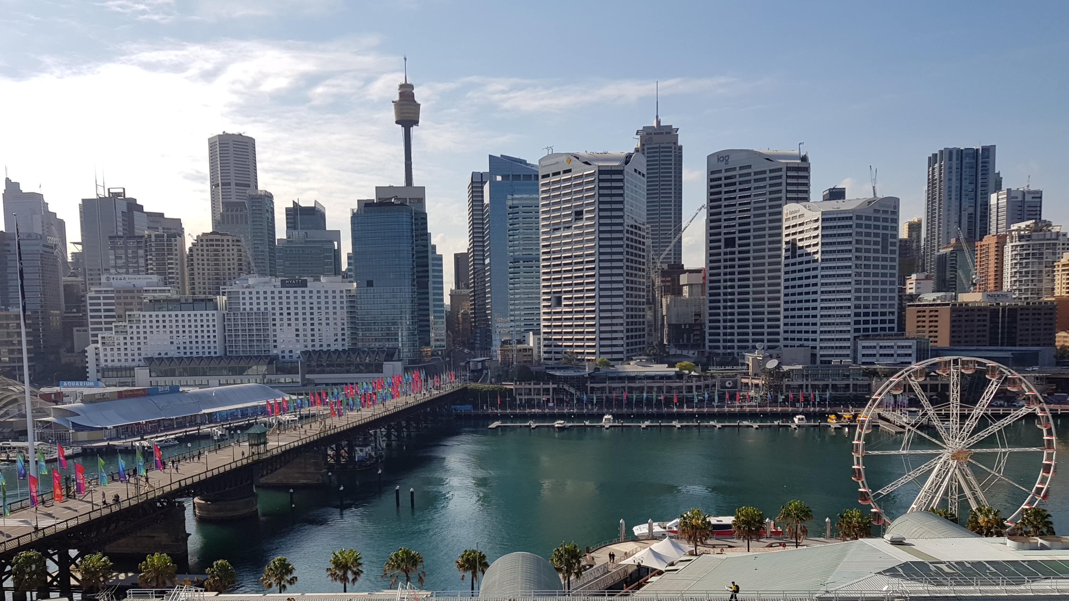 Venture through Australia’s most popular city with pet-friendly accommodation in Sydney