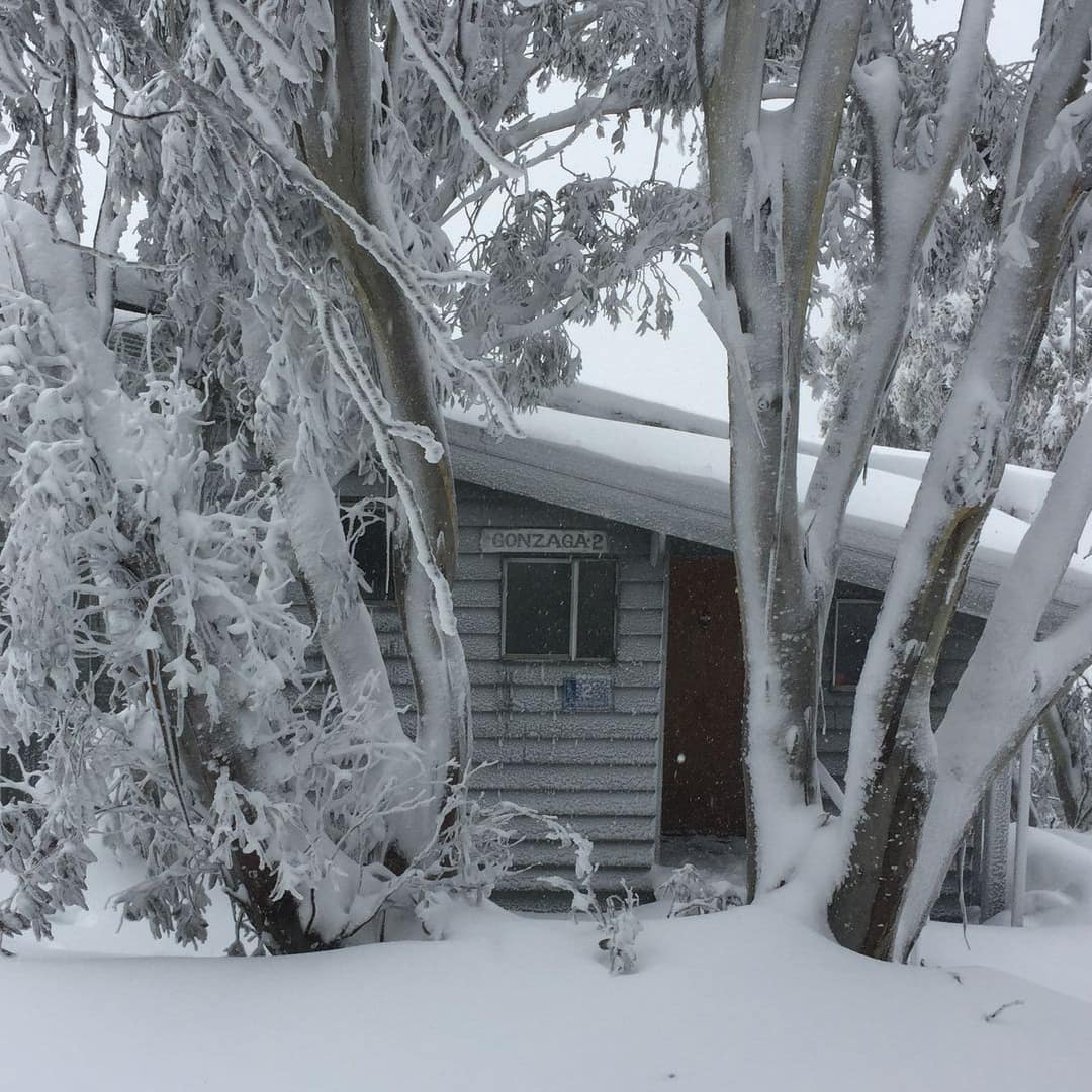 Mt Buller lodge and trees covered in inches of snow