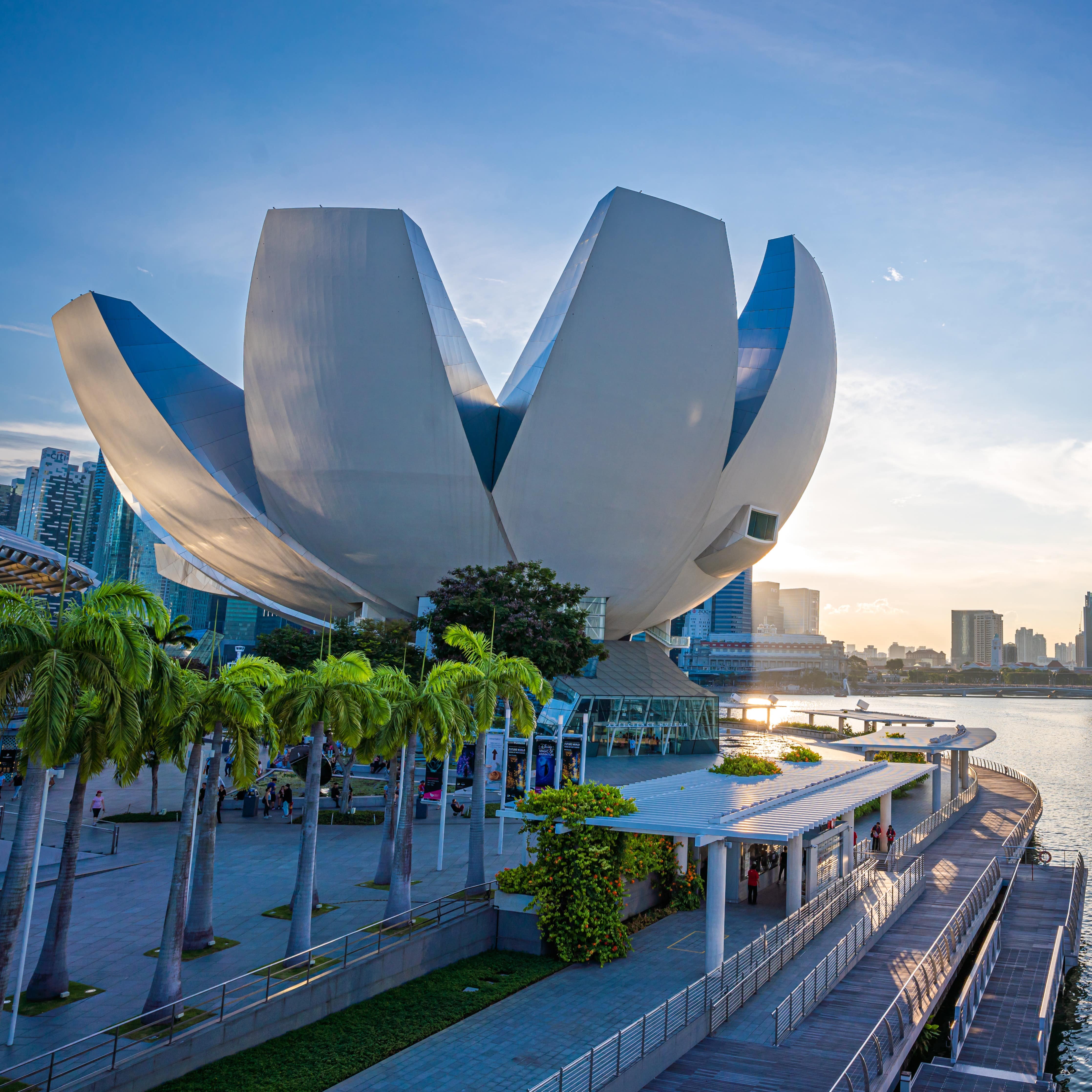 Lotus shaped Artscience Museum