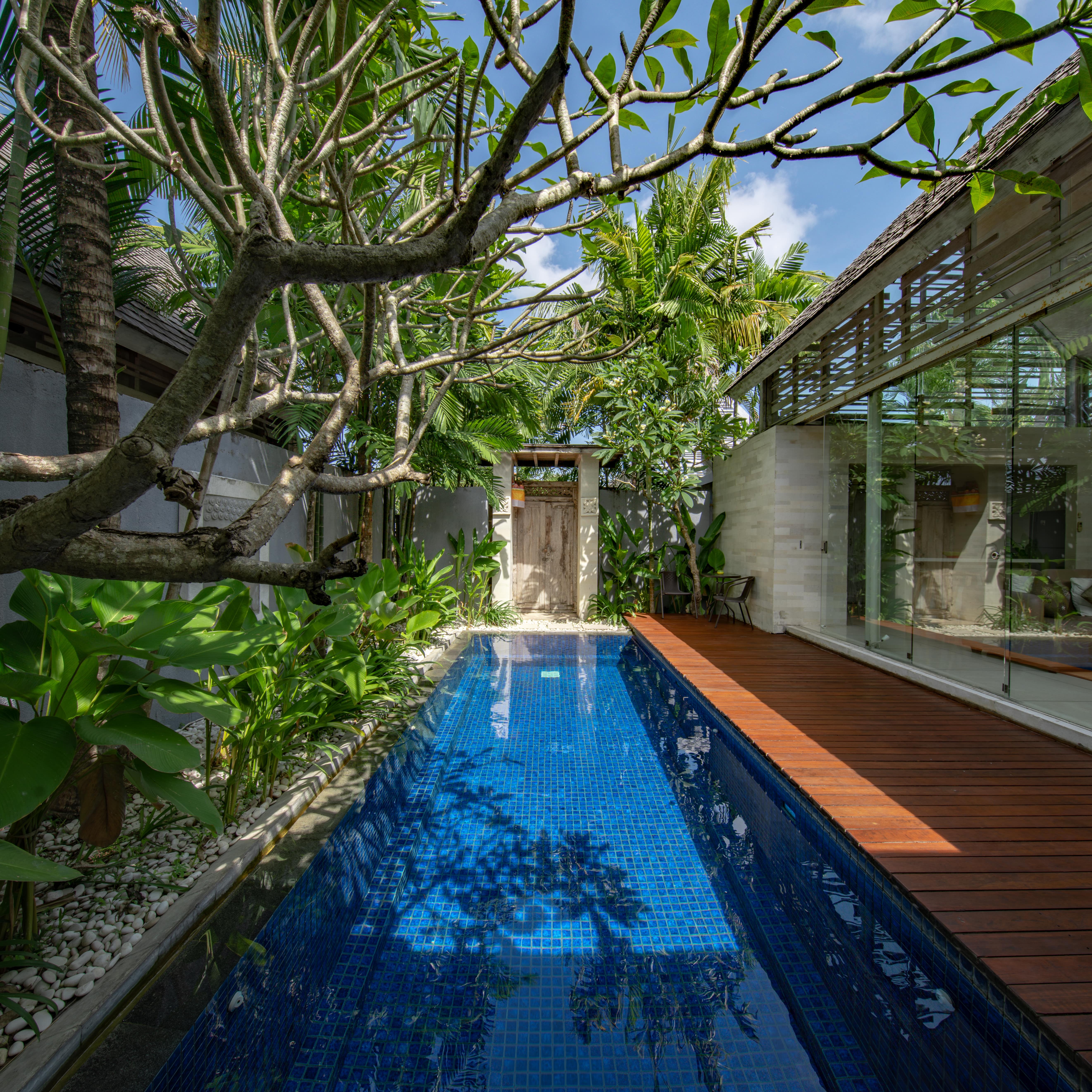 A long, blue lap pool in a garden with a wooden deck and a glass-sided villa with a view of the living area