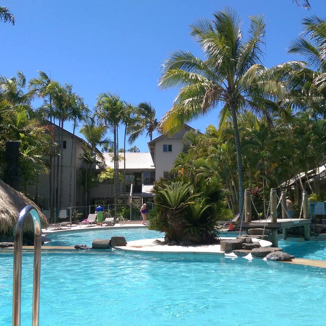 View of a resort pool with straw hut cabanas, surrounded by palm trees.