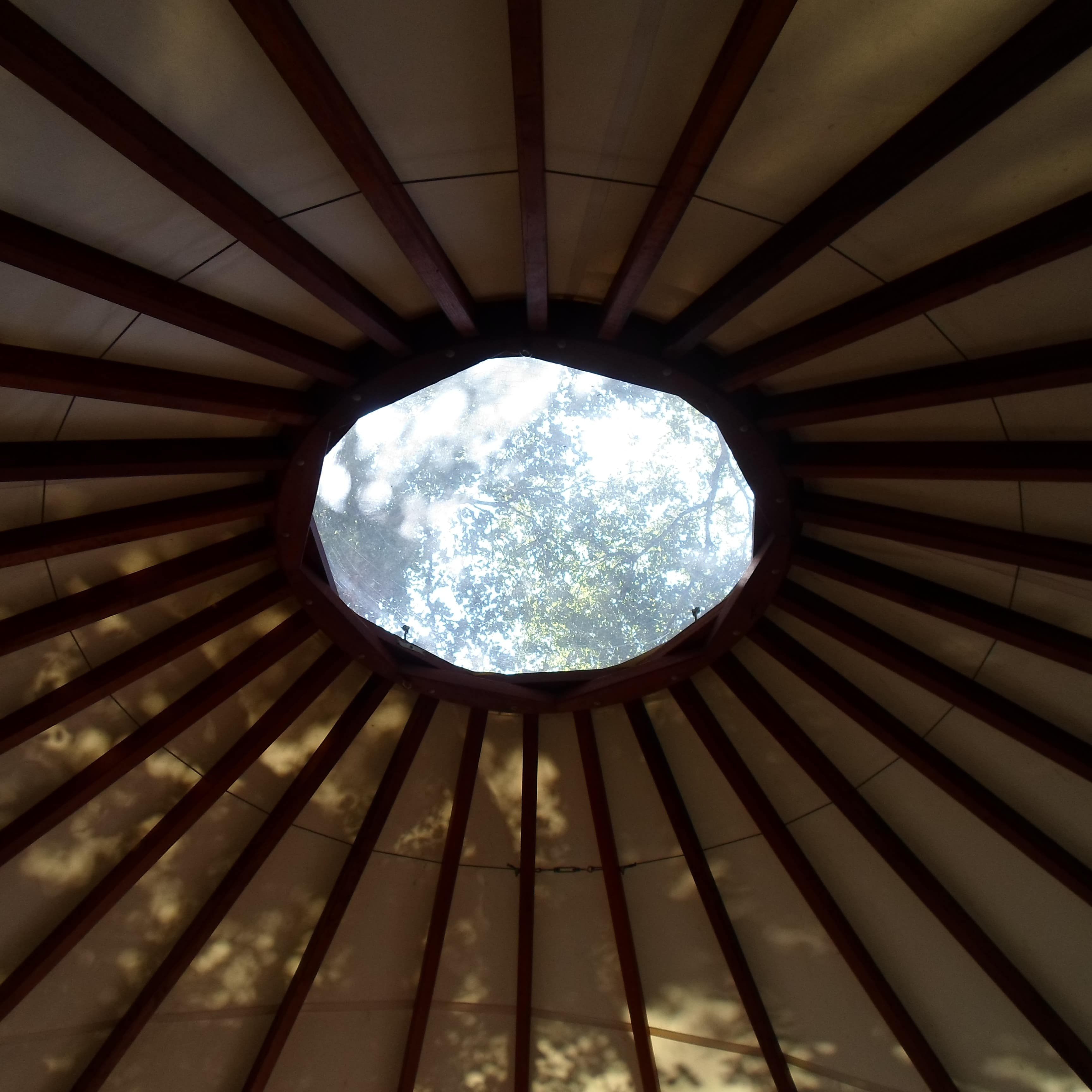 The top of a yurt with an opening to the sky and a view of dappled sunlight and trees