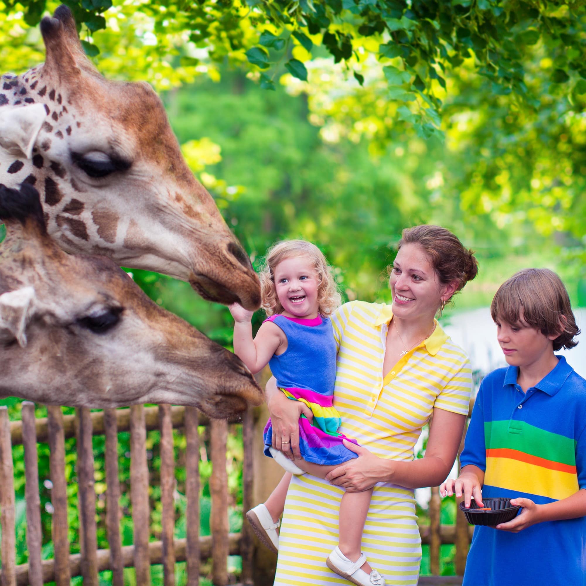 Mother and children feeding giraffe