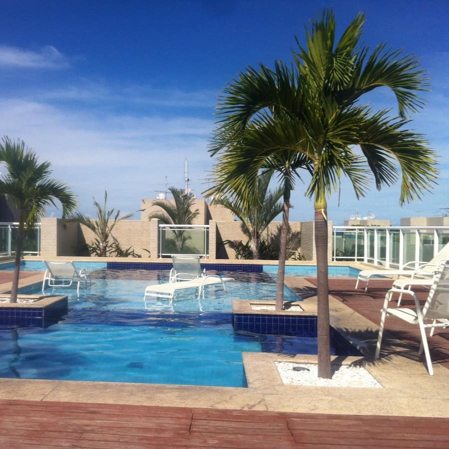 Rooftop pool of holiday apartment surrounded by a lounge area, lounge chairs and palm trees