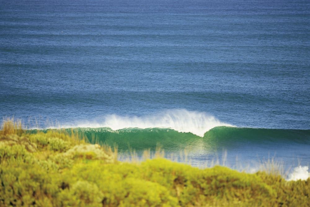 things to do in torquay - Surf Coast Walk