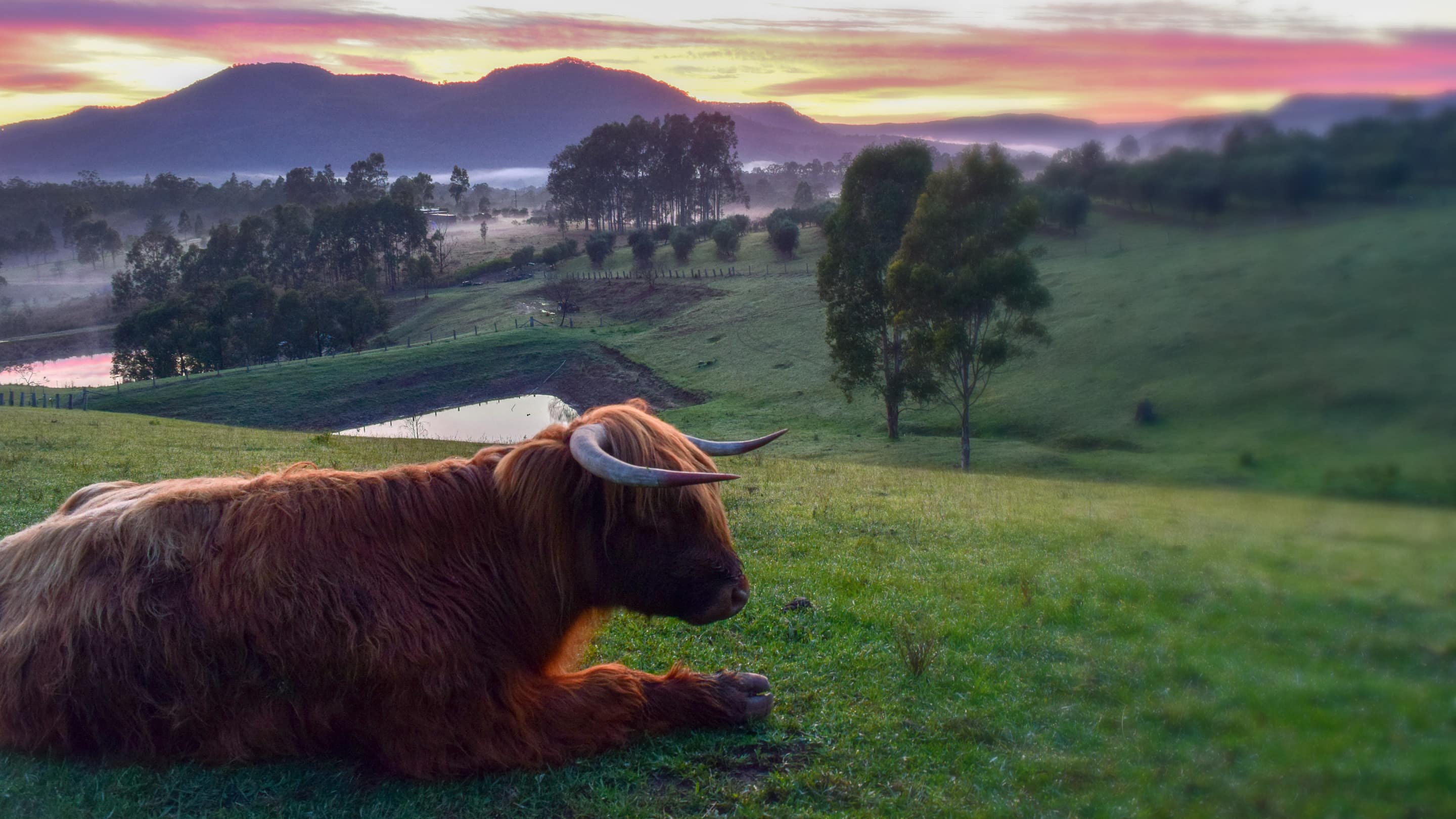 Get away to wine country in Hunter Valley cabins and lodges