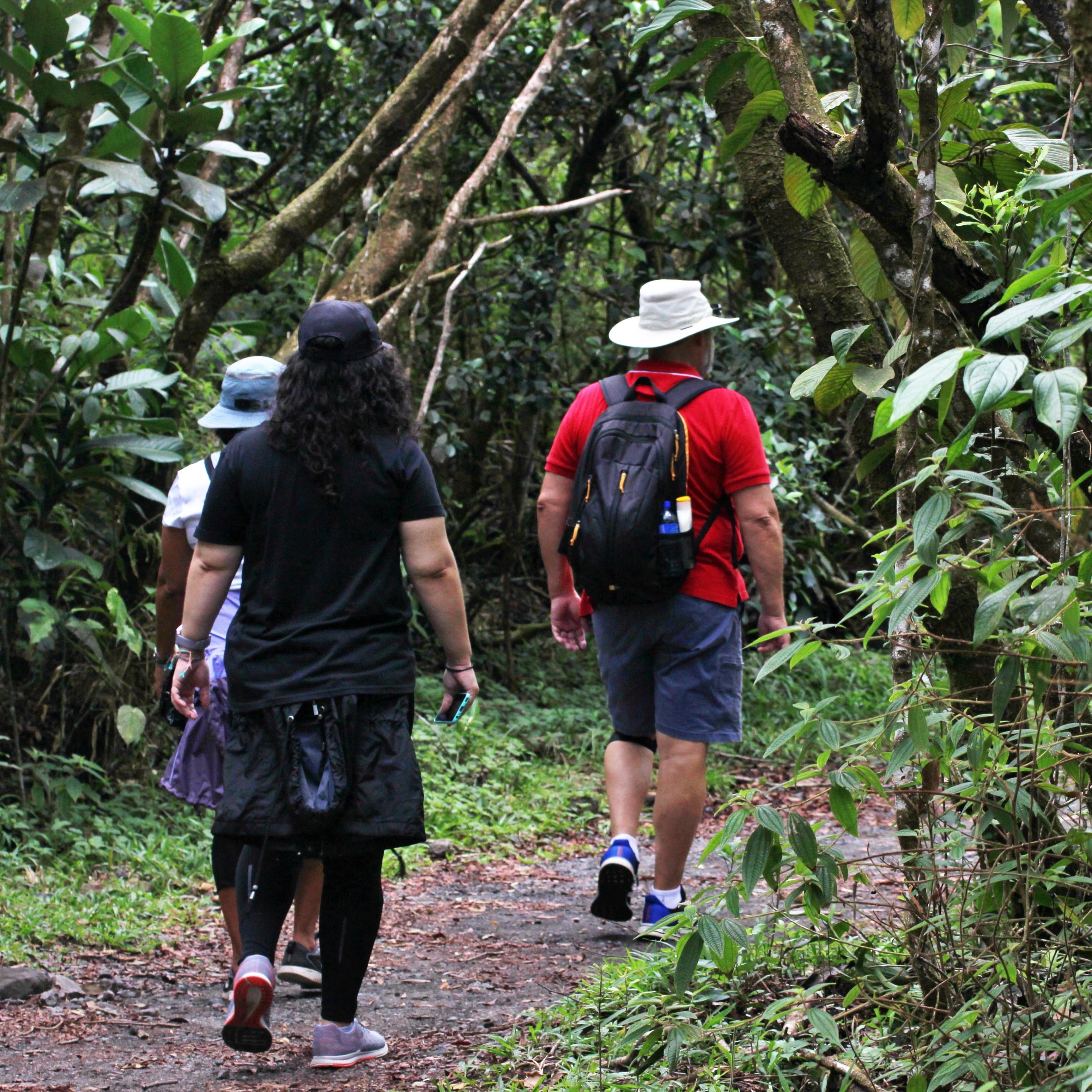 Group of three walking on a tropical trail