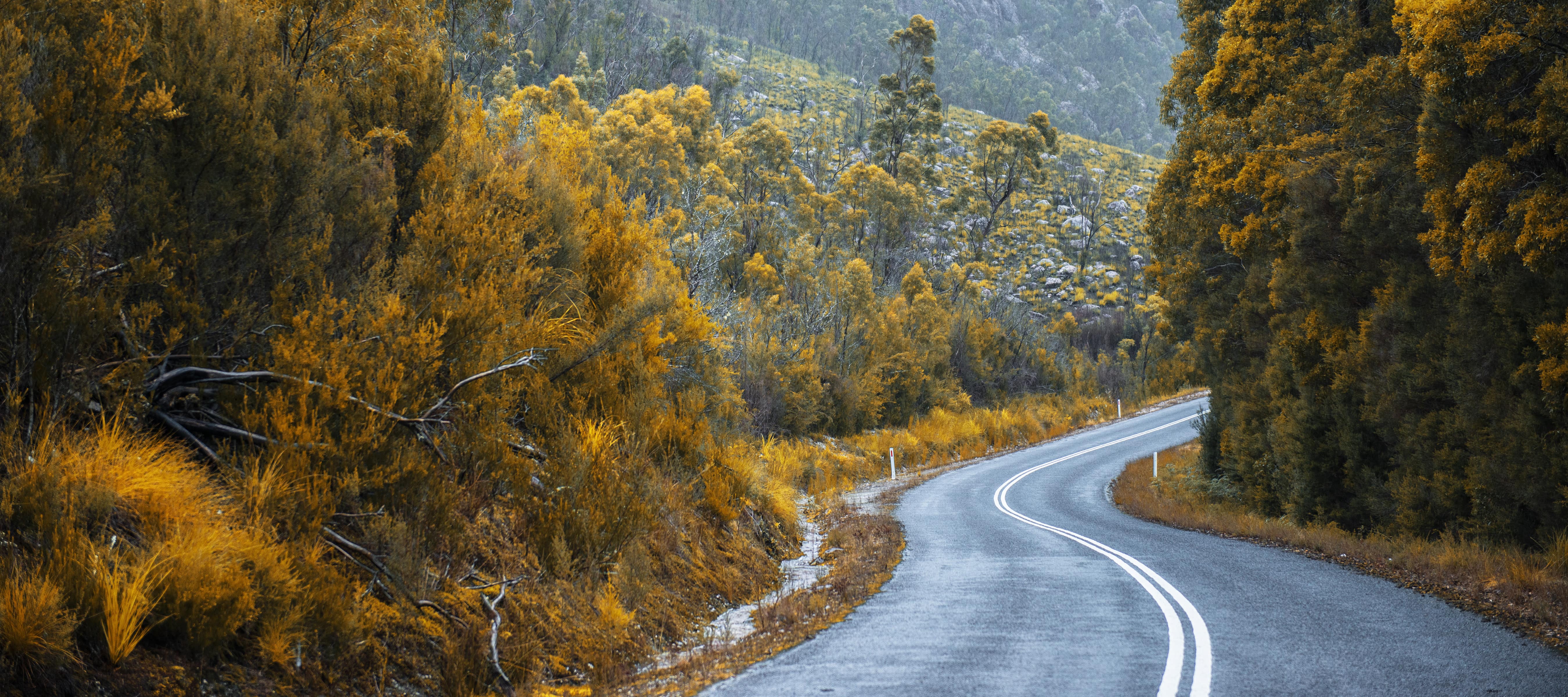 Take a mountains-to-sea Tasmania road trip to explore this island state