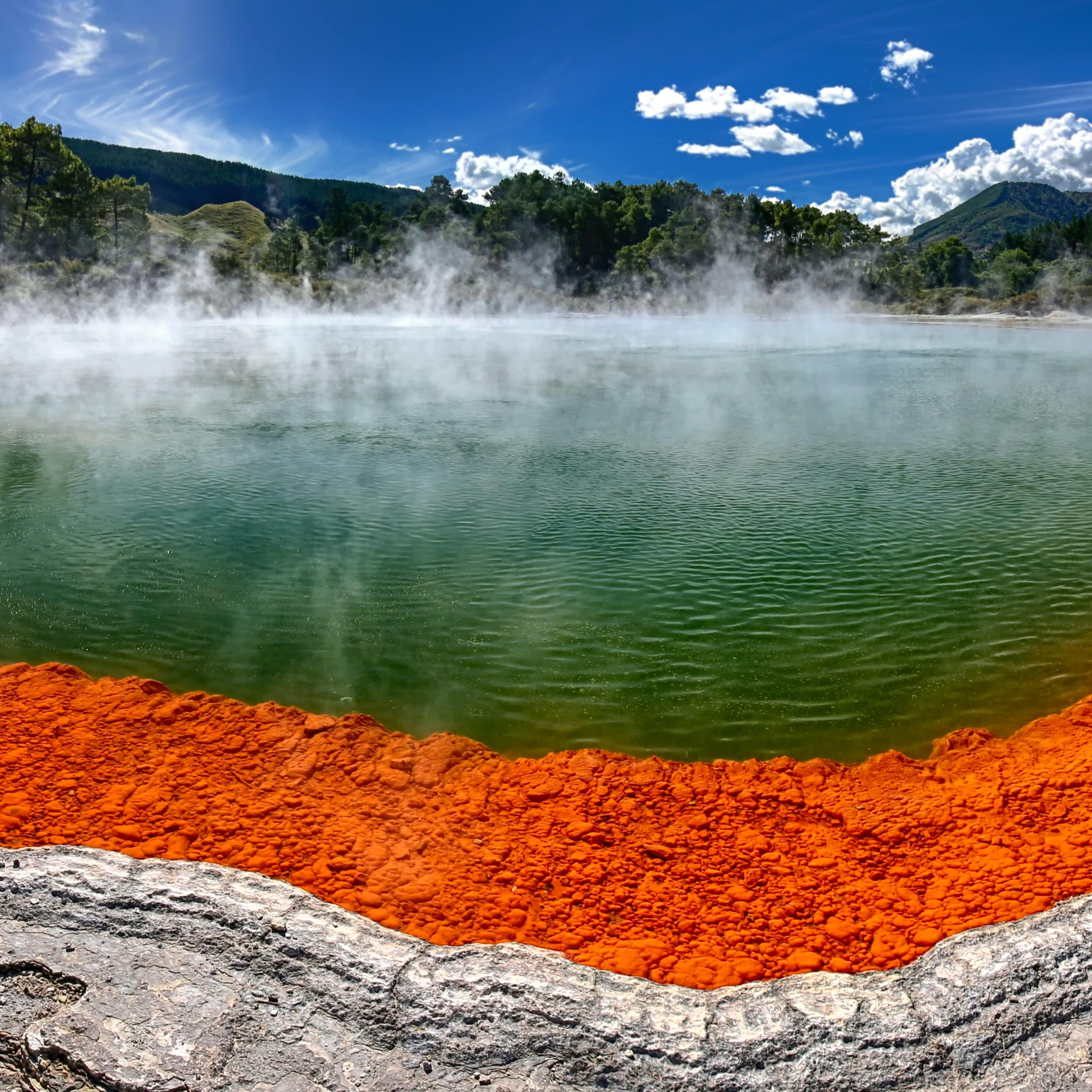 Panoramic view of a thermal pool in Rotorua