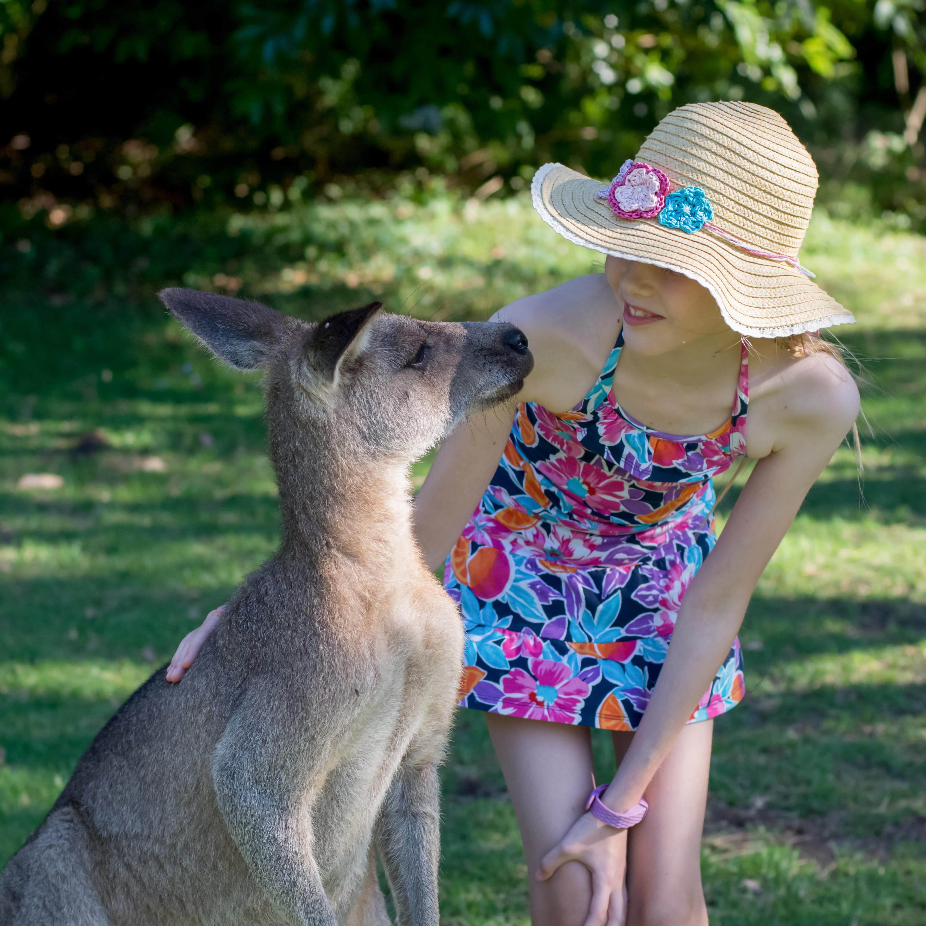 A girl in a straw hat pats a kangaroo in a wildlife sanctuary