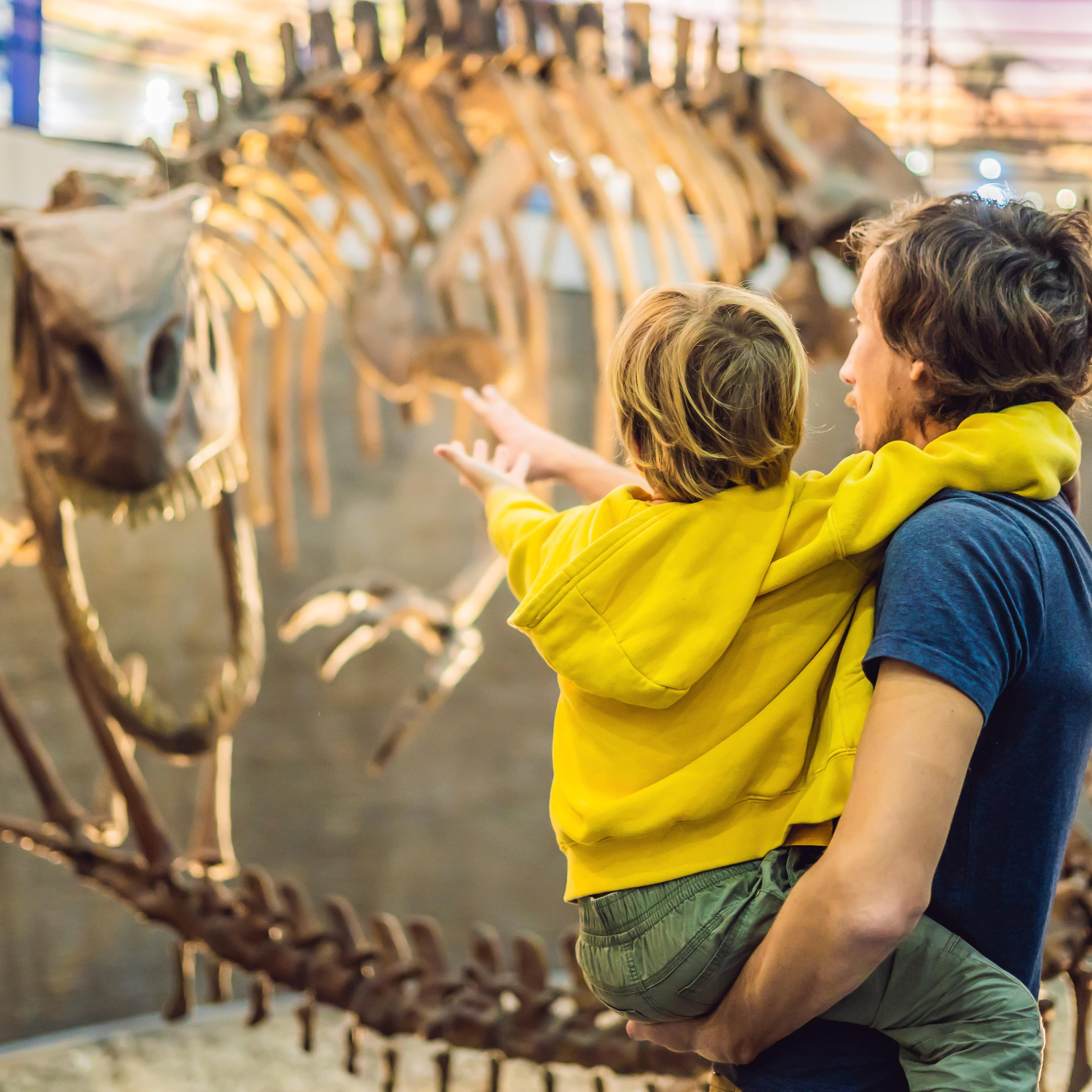 Rear view of man holding child and looking at dinosaur skeleton