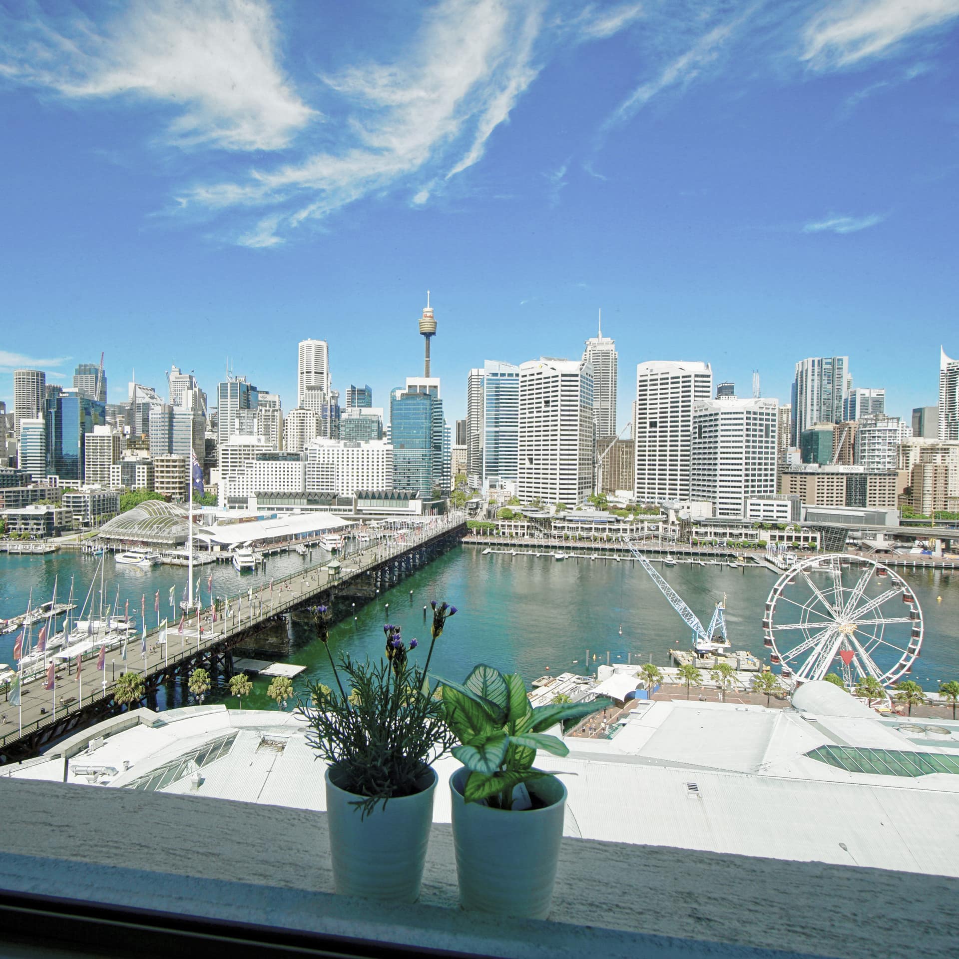 View overlooking the Darling Harbour and city skyline.