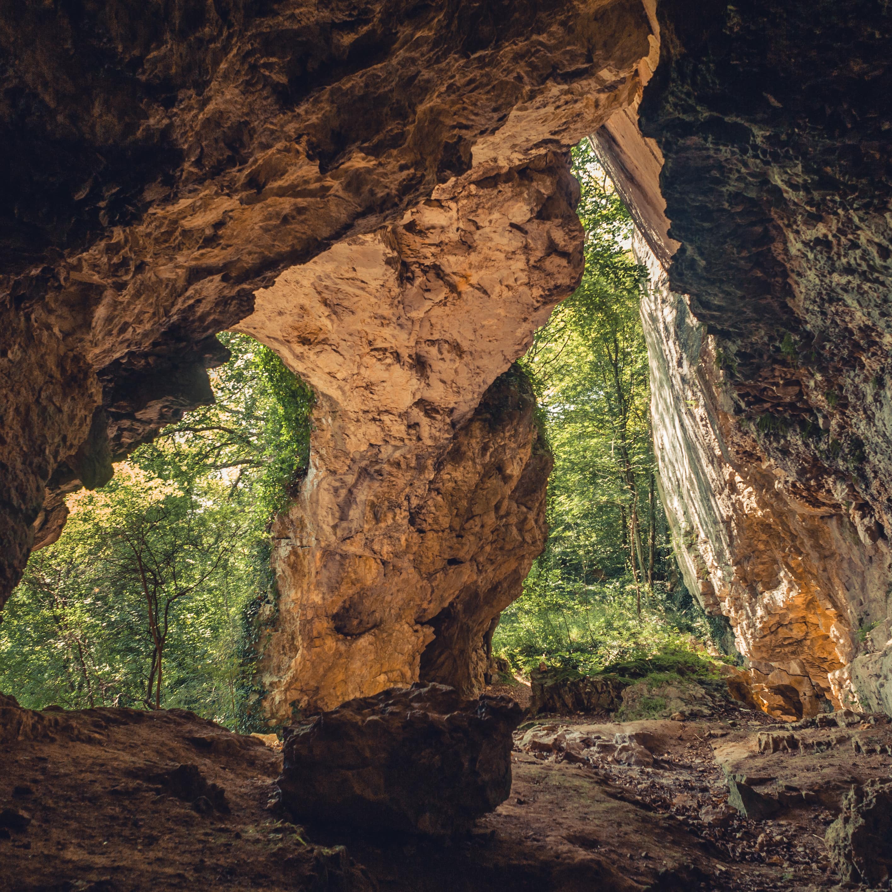 Opening of a Mole Creek limestone cave with craggy rock walls and sunlight filtering through the trees beyond