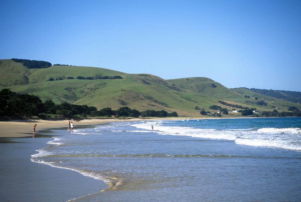 things to do in apollo bay - Apollo Bay Australia