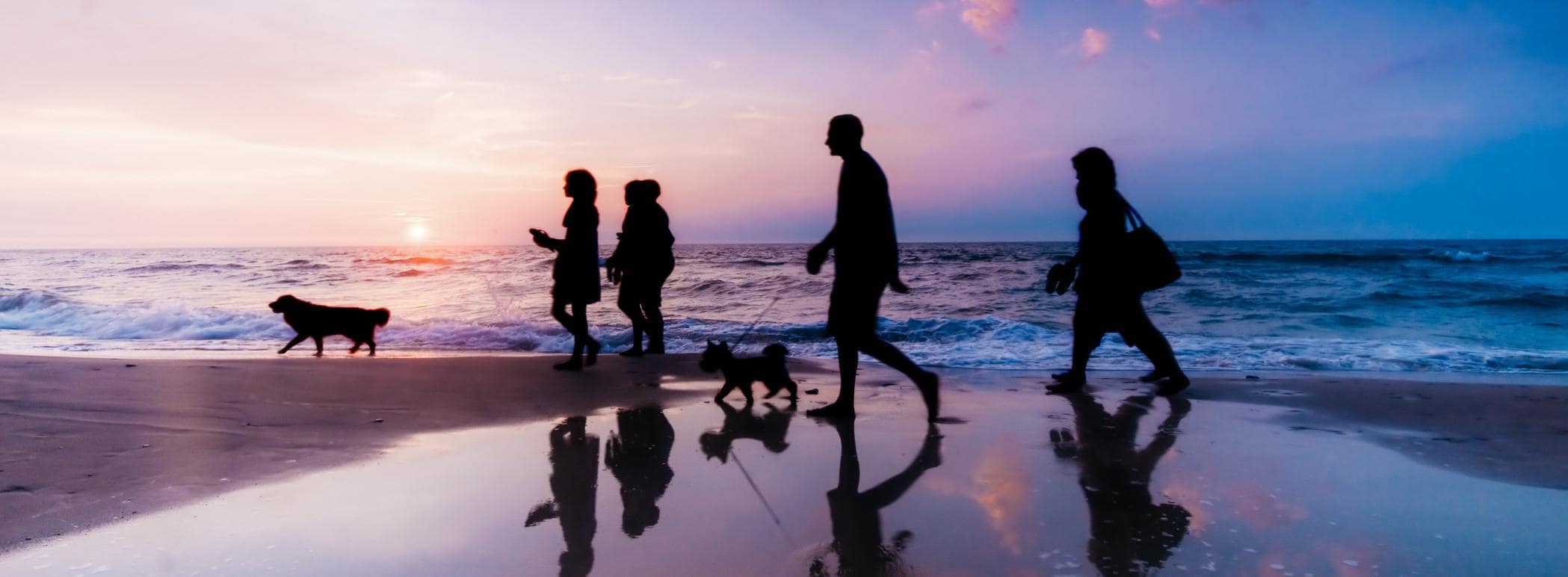 Pet-friendly holidays in Queensland