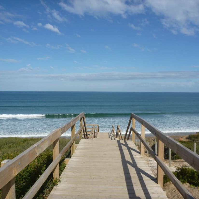 View of wooden boardwalk to a beach with crashing waves, surrounded by beach grass.