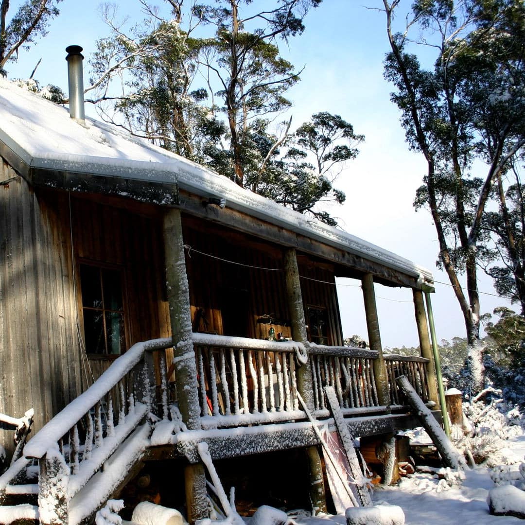 An alpine cabin sitting in the middle of a snow-covered forest