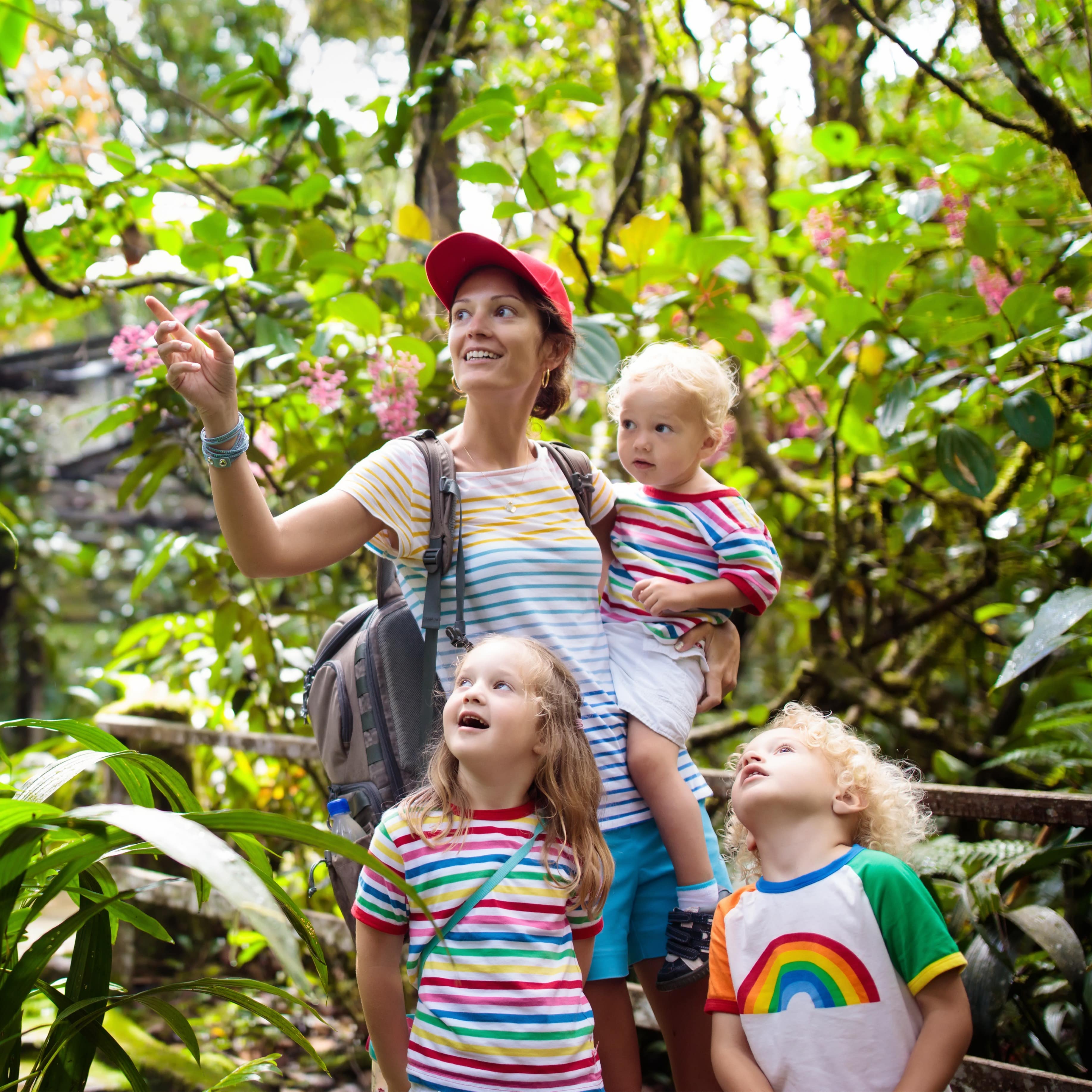 Mother and three children looking up at fauna in forest on bridge