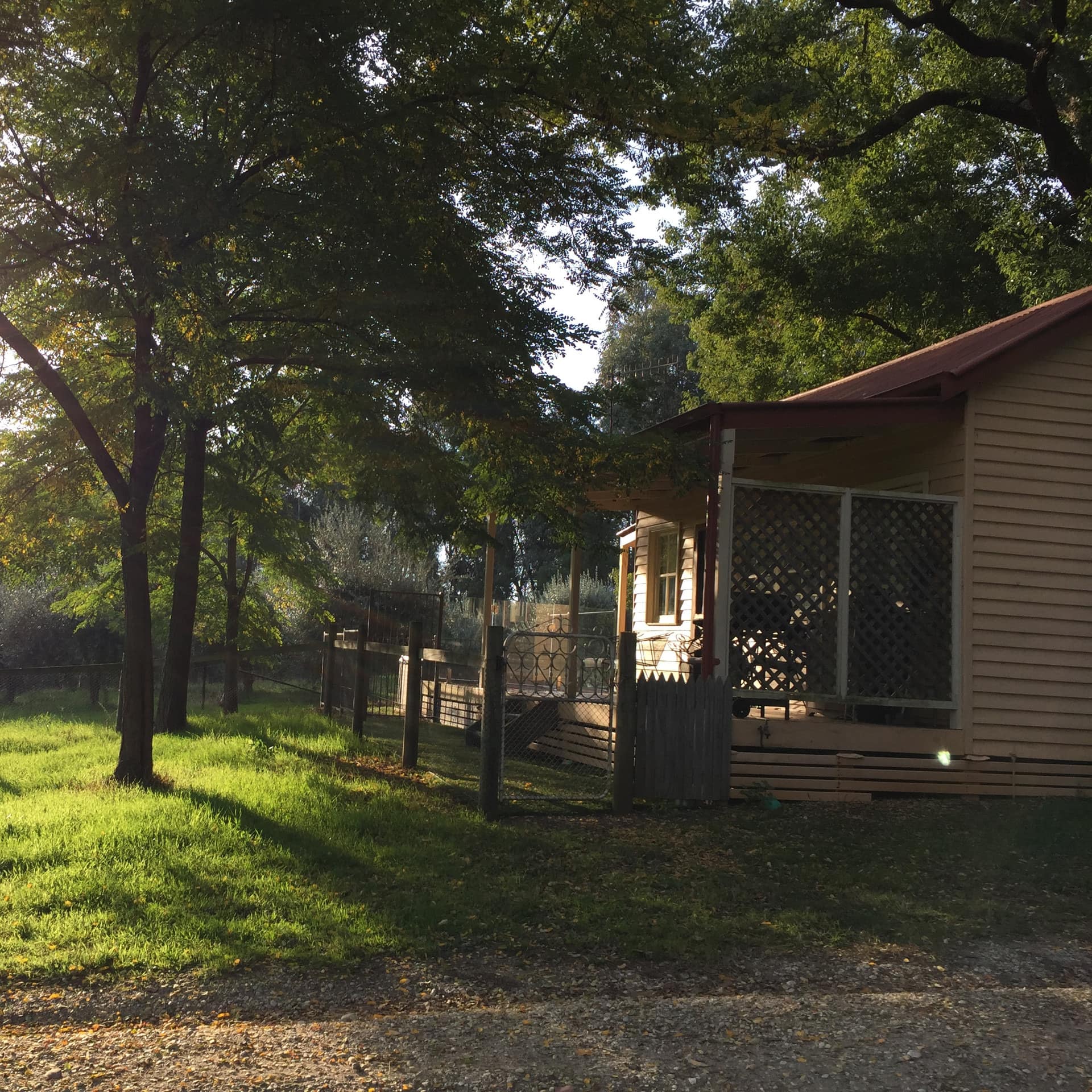 The evening sun filters through shade trees and an orchard in front of a small wooden cottage with a front porch.