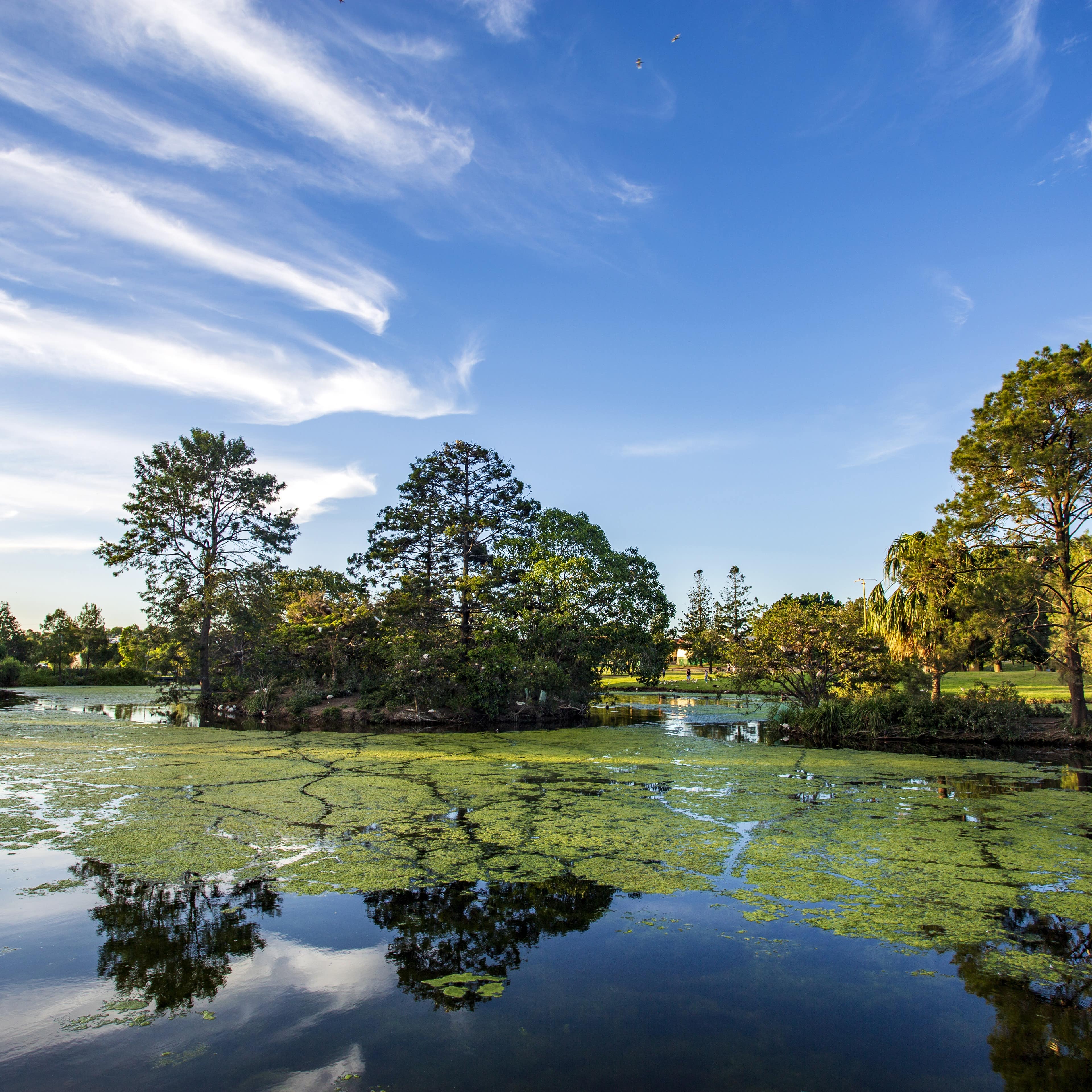 Lake Alford Recreational Park
