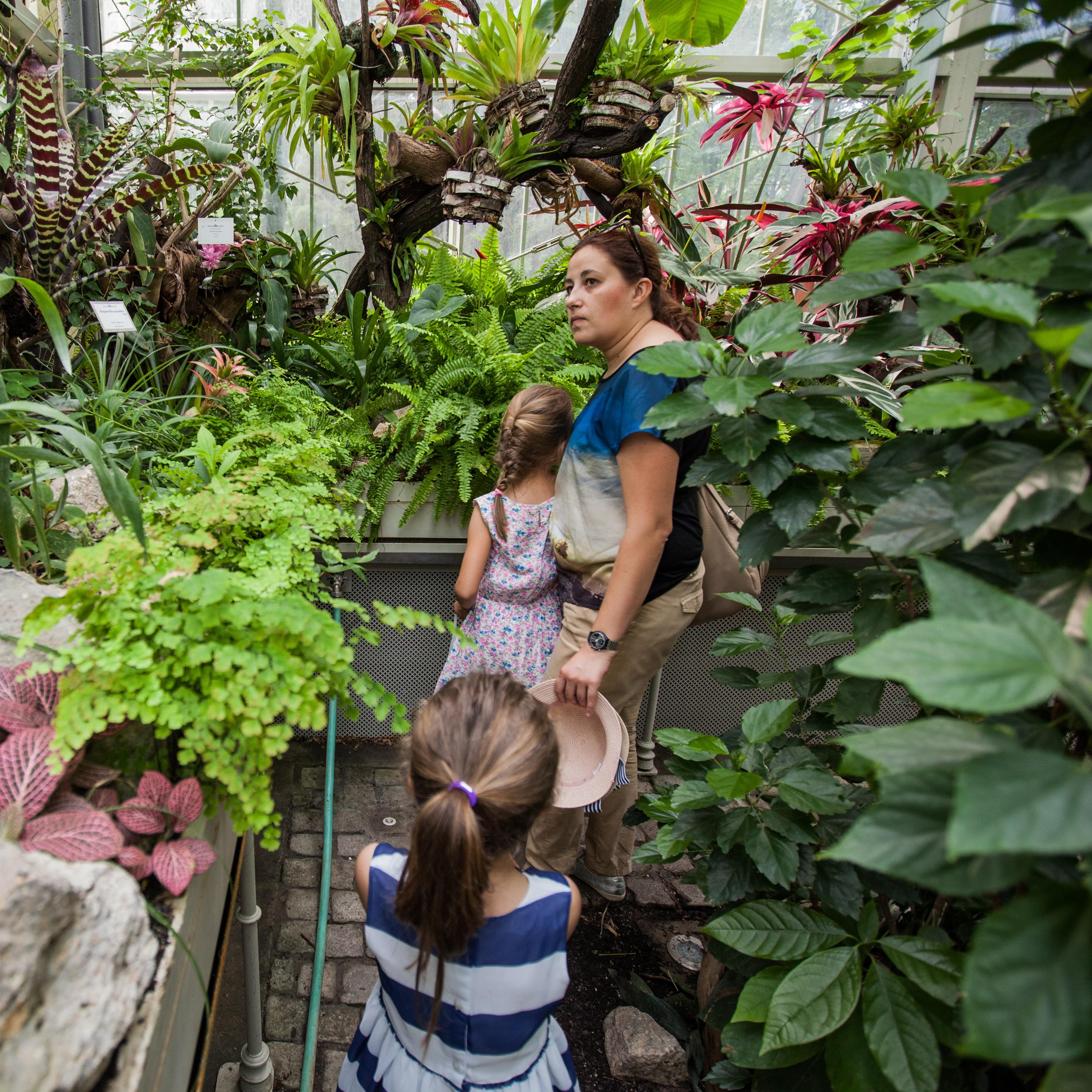 Mother and children walking through a botanical garden