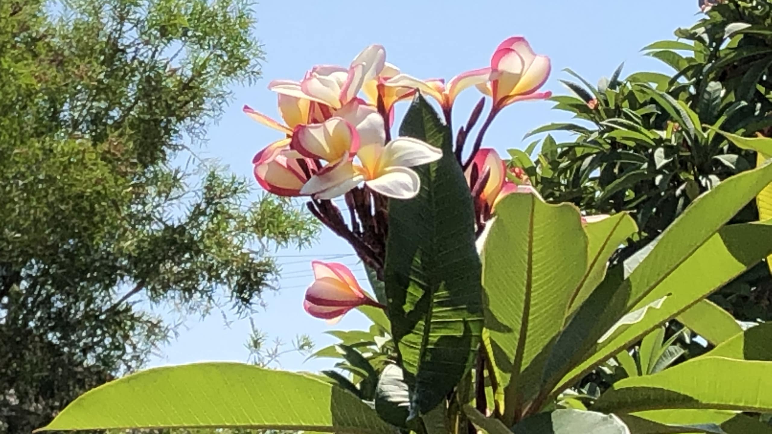 Plan your holiday with Rockhampton accommodation
