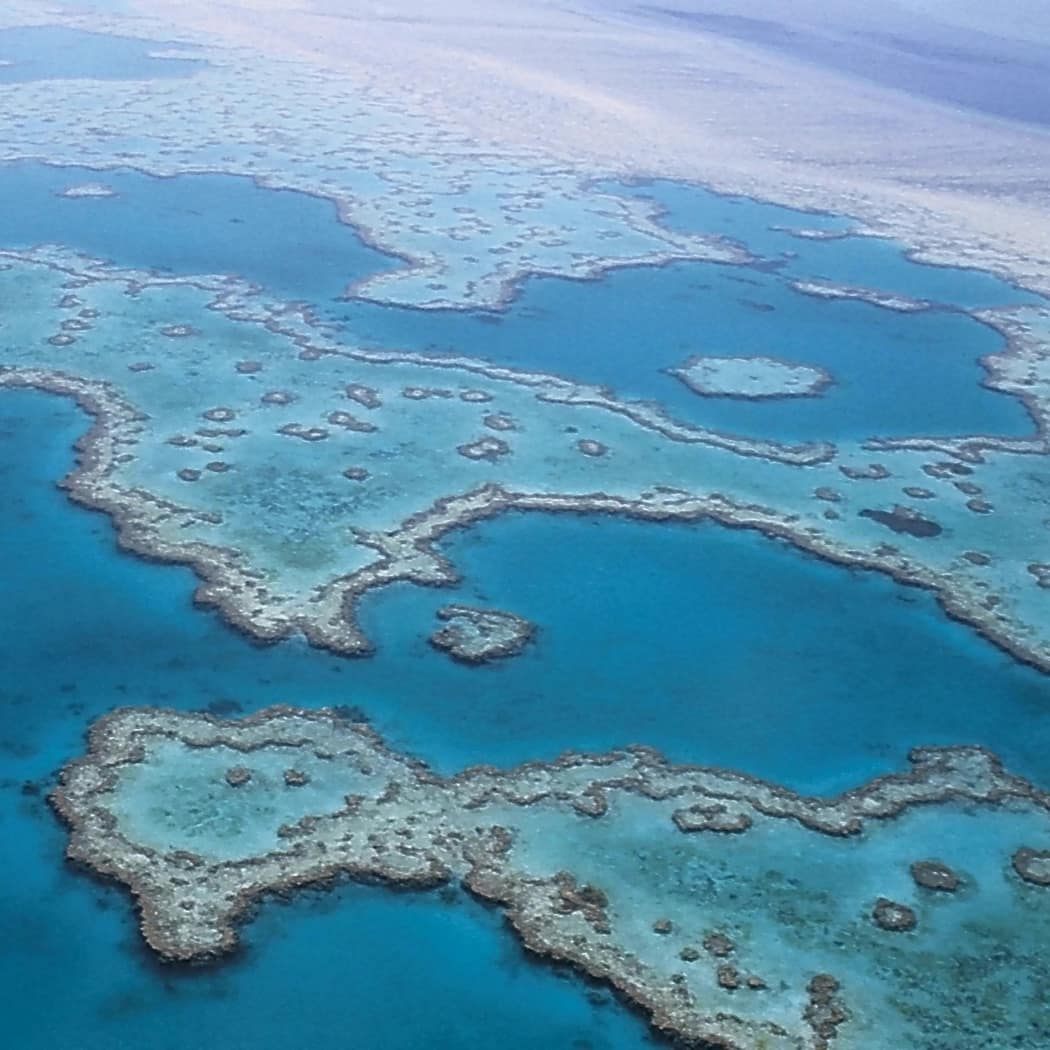 An aerial photo of the Great Barrier Reef, which sits adjacent to Port Douglas