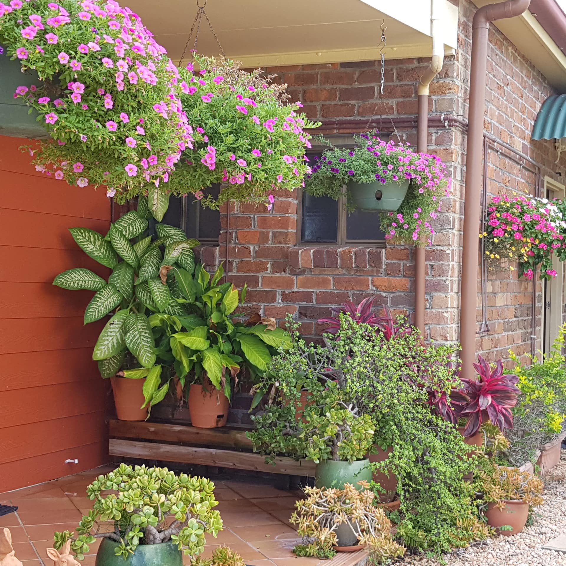 Exterior of Queensland bed and breakfast with lush green plants and flowers