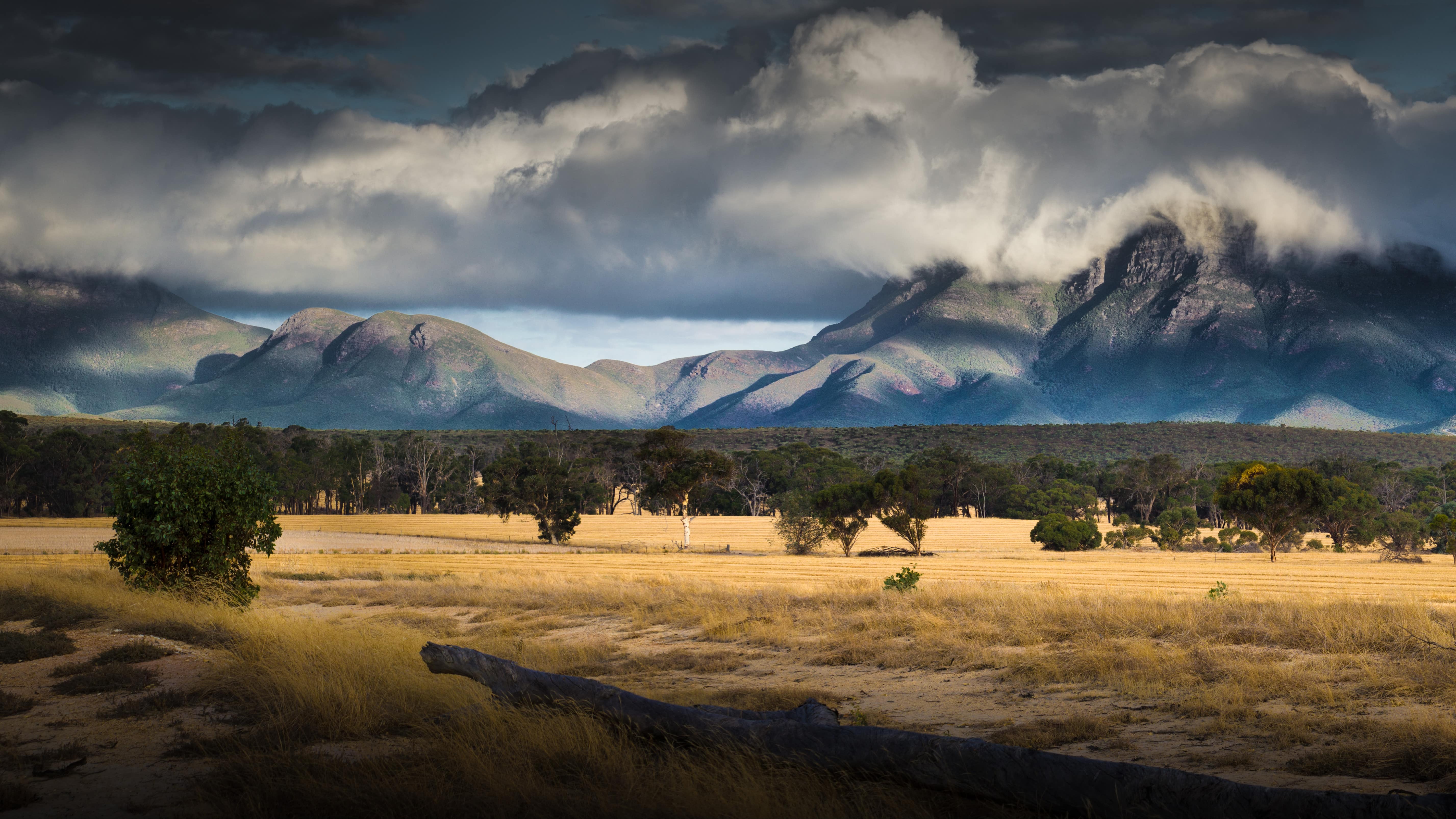 Farm stays in WA—fruit of the vine and fun in the outback