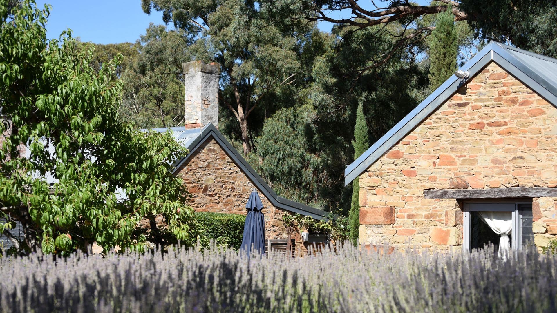 Rest and relax in a 5-star Castlemaine accommodation
