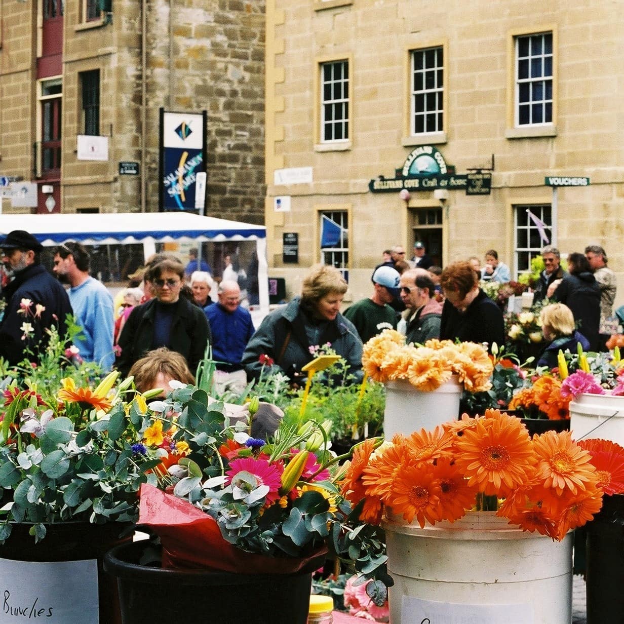 Flowers on sale in a market in Hobart, Australia