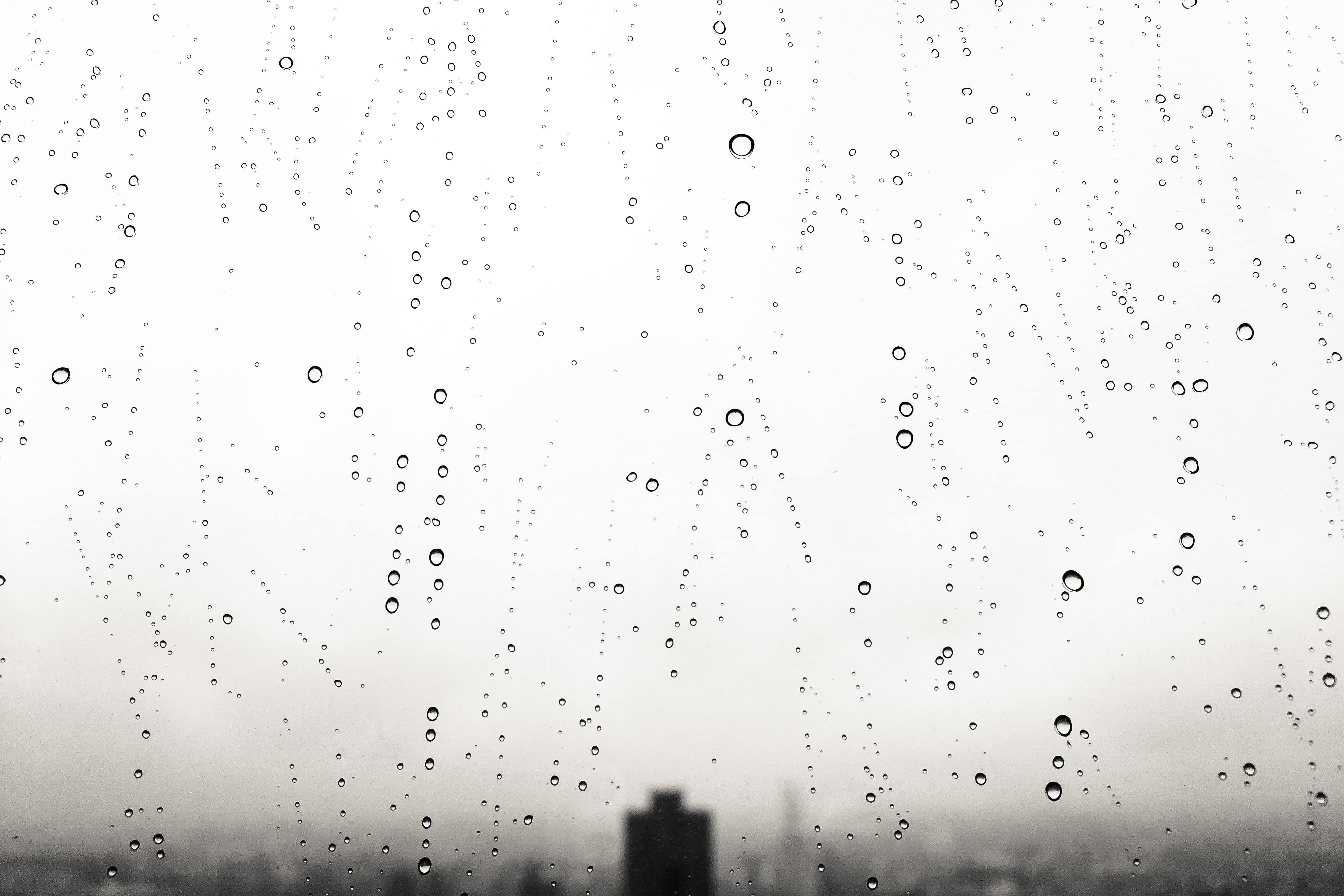 Things to do in Perth when it’s raining