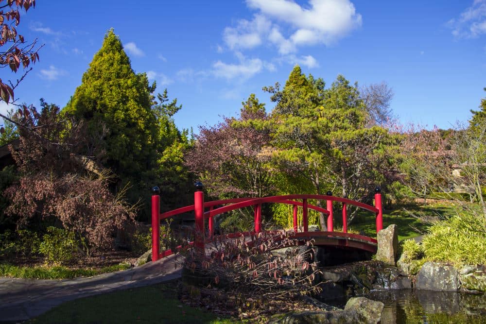 things to do on good friday - Egg Hunt in the Tasmanian Botanical Gardens