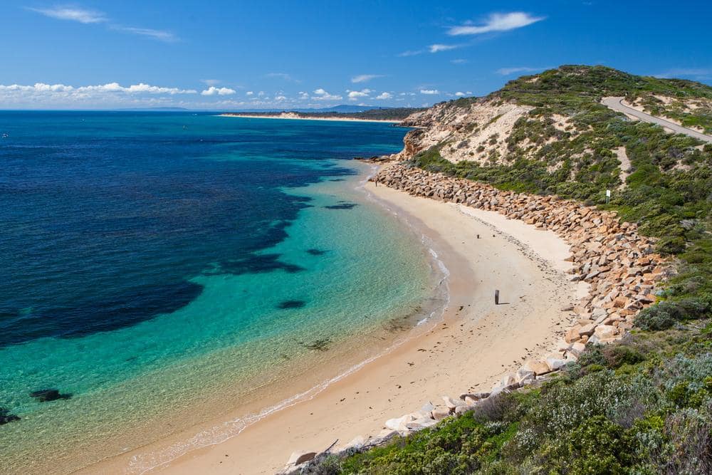 things to do in tootgarook - Tootgarook Beach