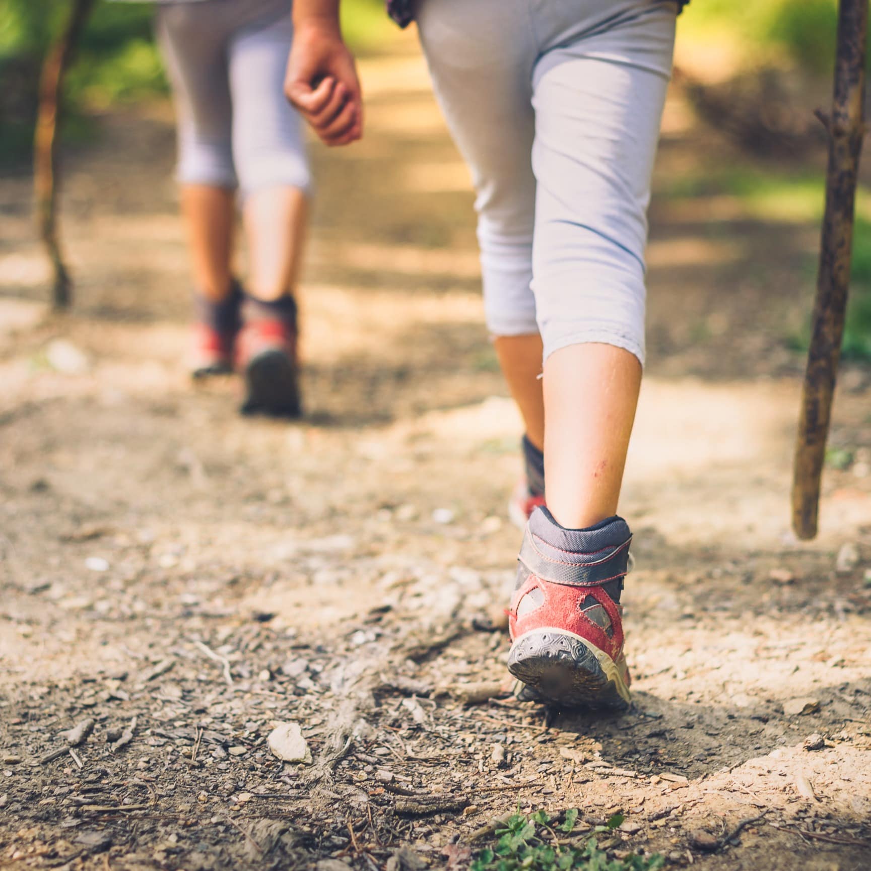 Children hiking on trail