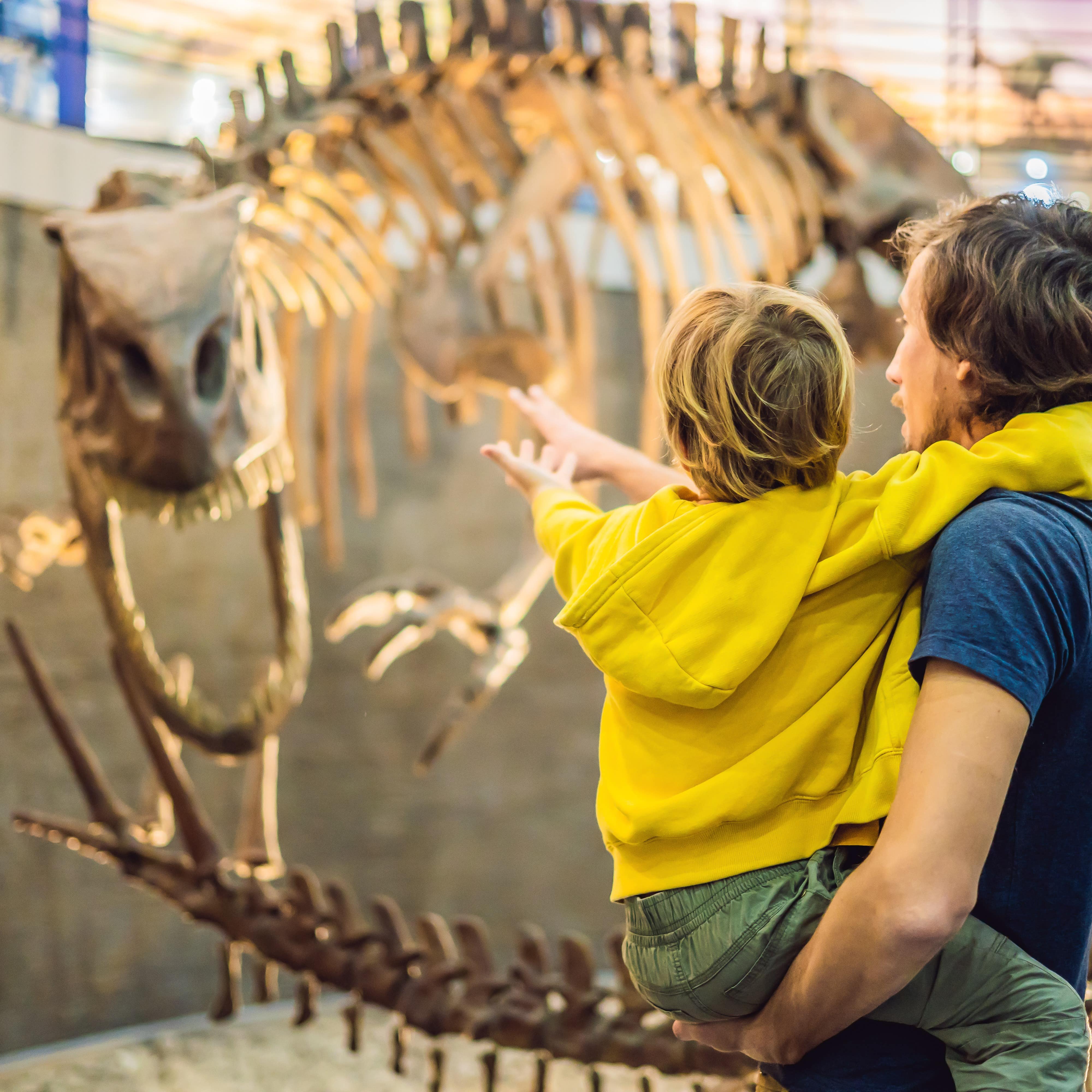 Father and son looking at dinosaur skeleton